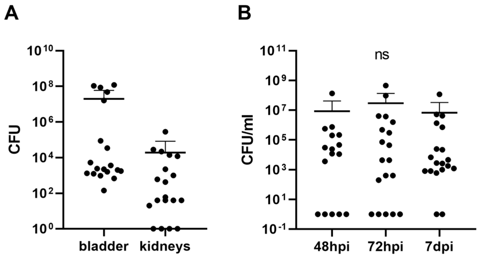 Biomolecules 13 01008 g004 Biomolecules 13 01008 g004