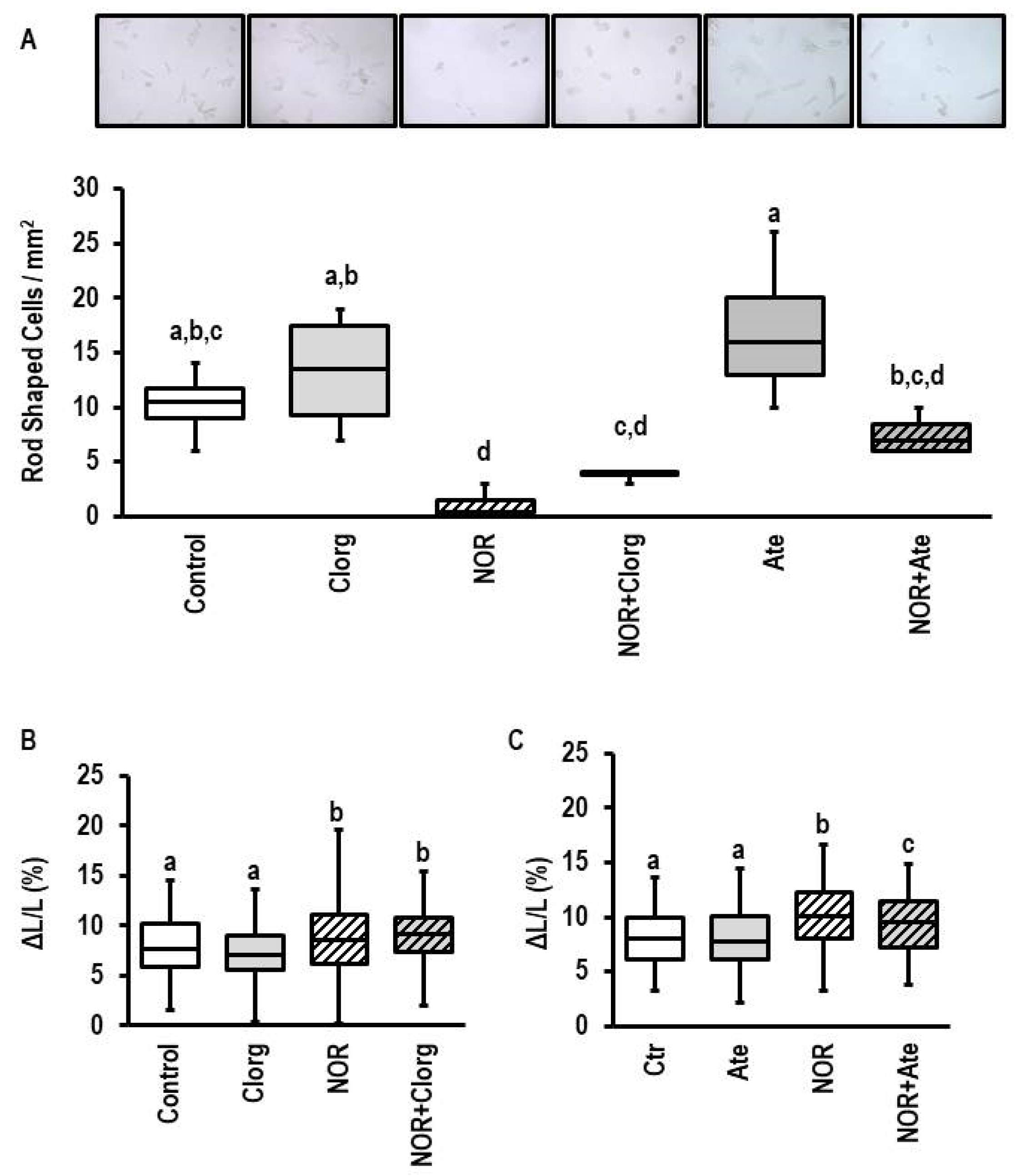 Biomolecules 13 01013 g009 Biomolecules 13 01013 g009