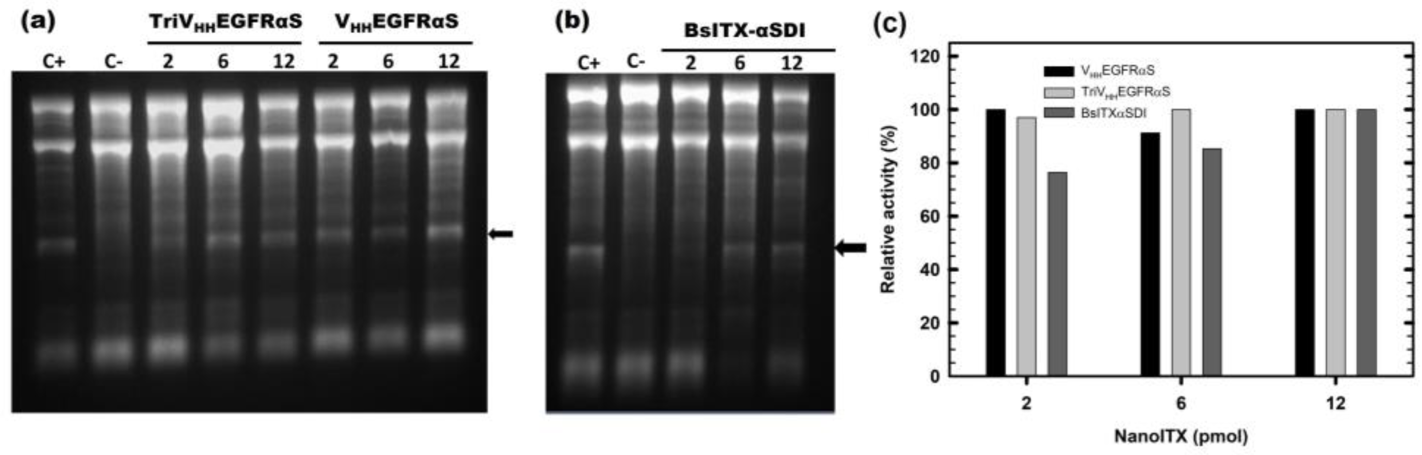 Biomolecules 13 01042 g004 Biomolecules 13 01042 g004