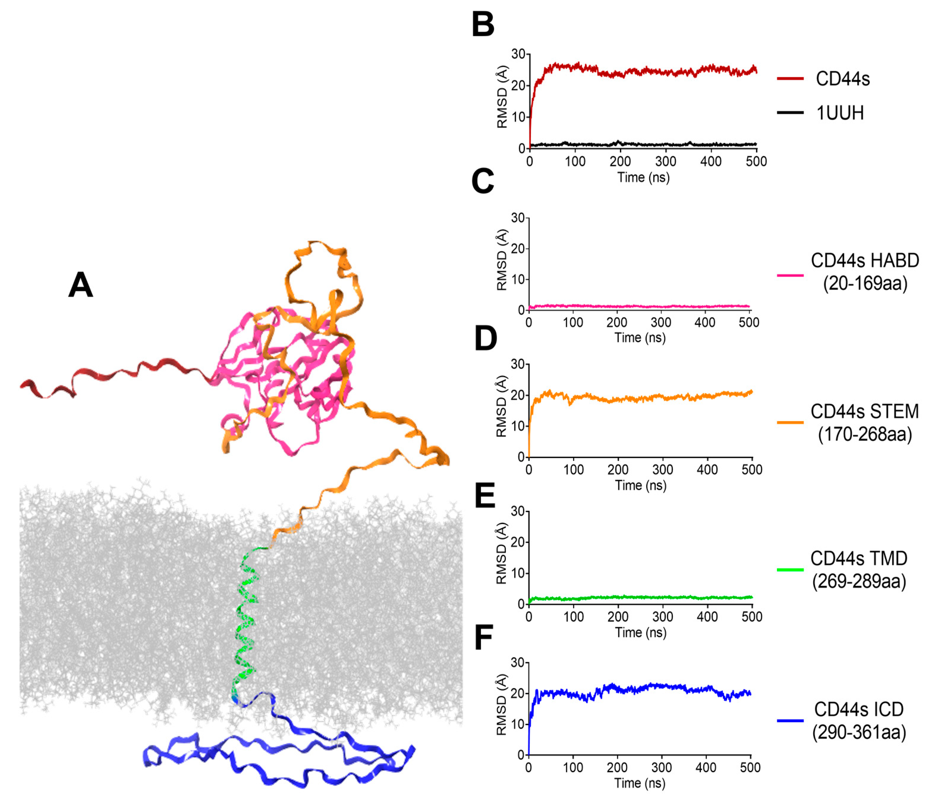 Biomolecules 13 01047 g004 Biomolecules 13 01047 g004