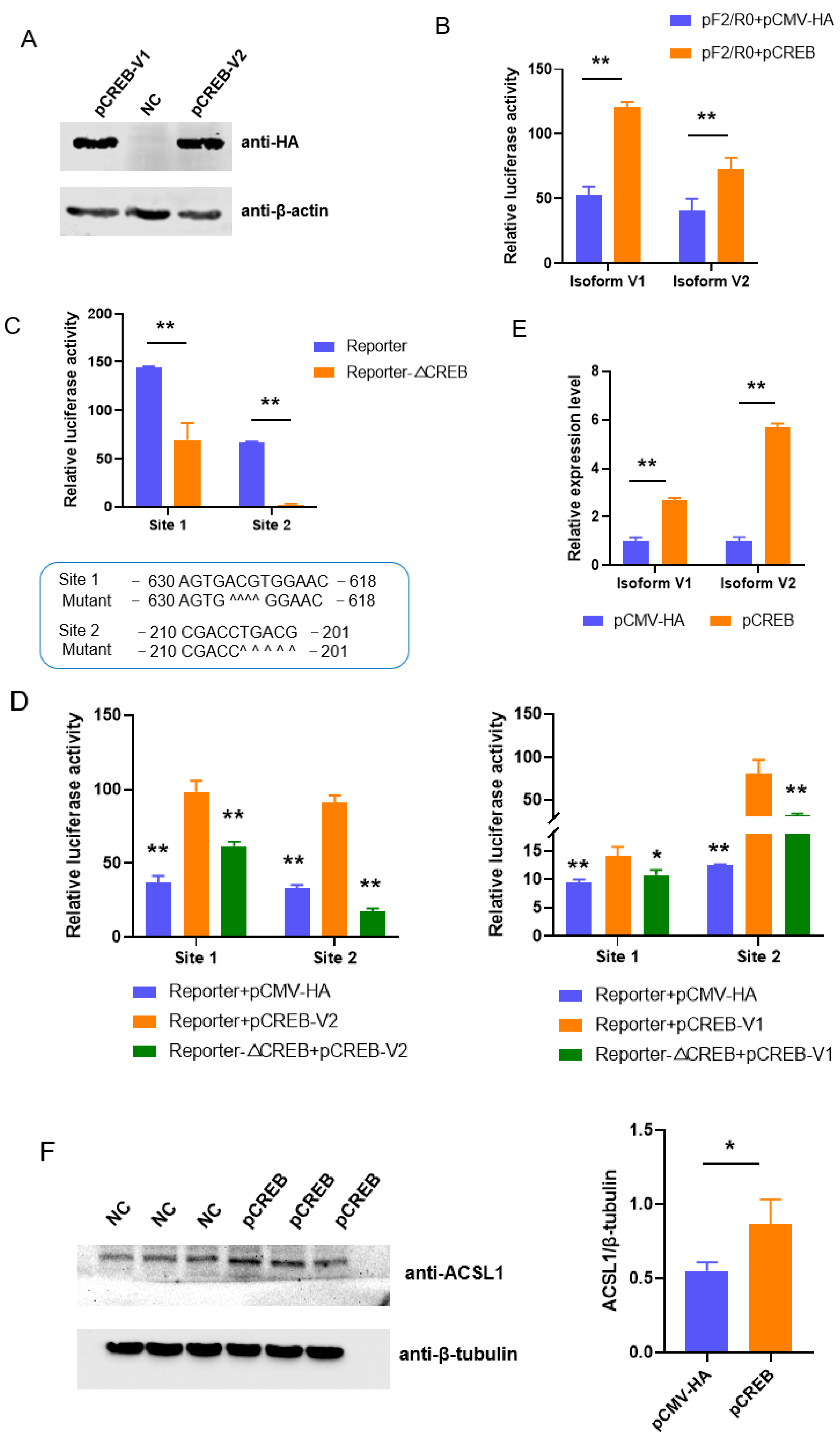 Biomolecules 13 01057 g002