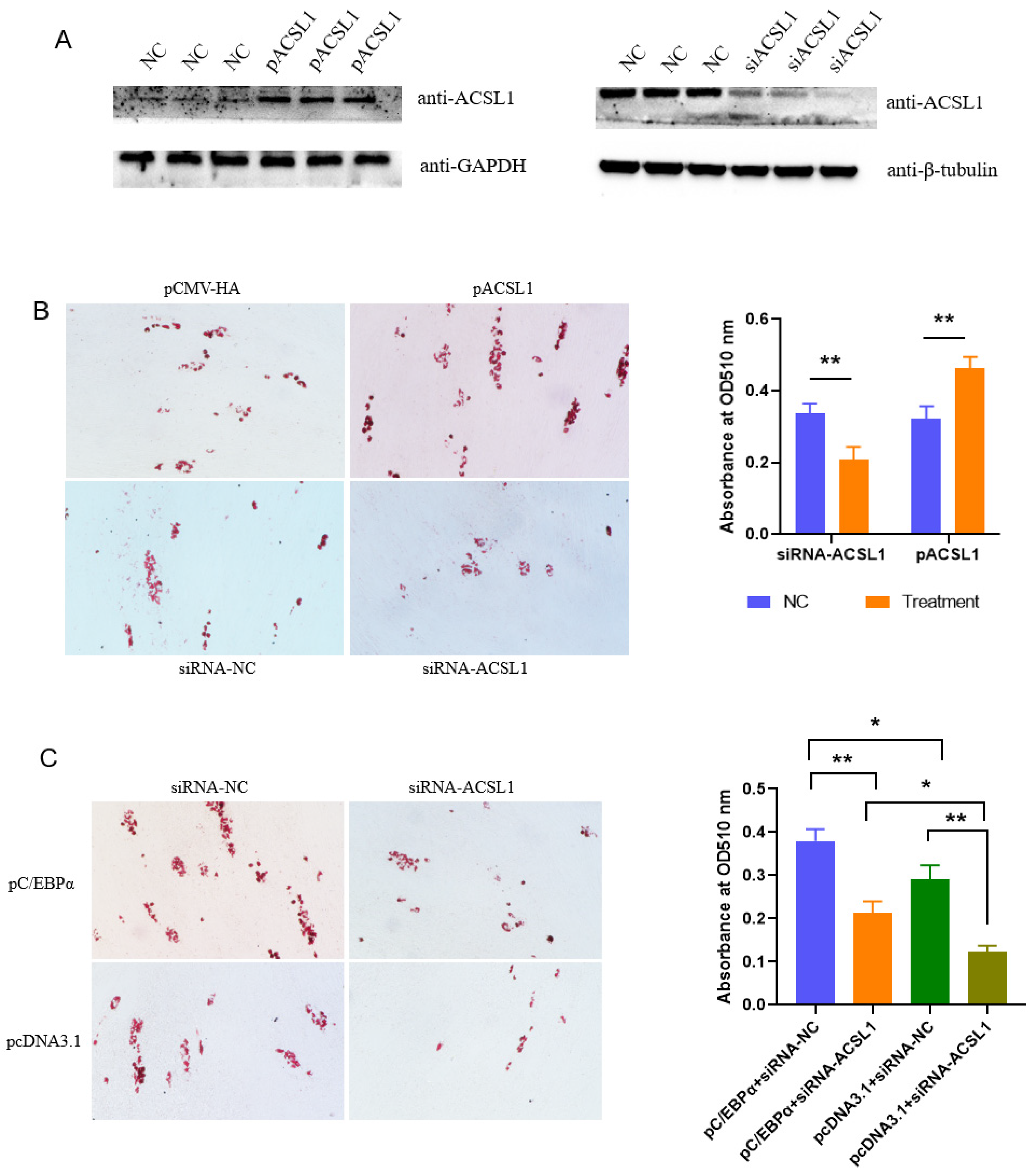 Biomolecules 13 01057 g003