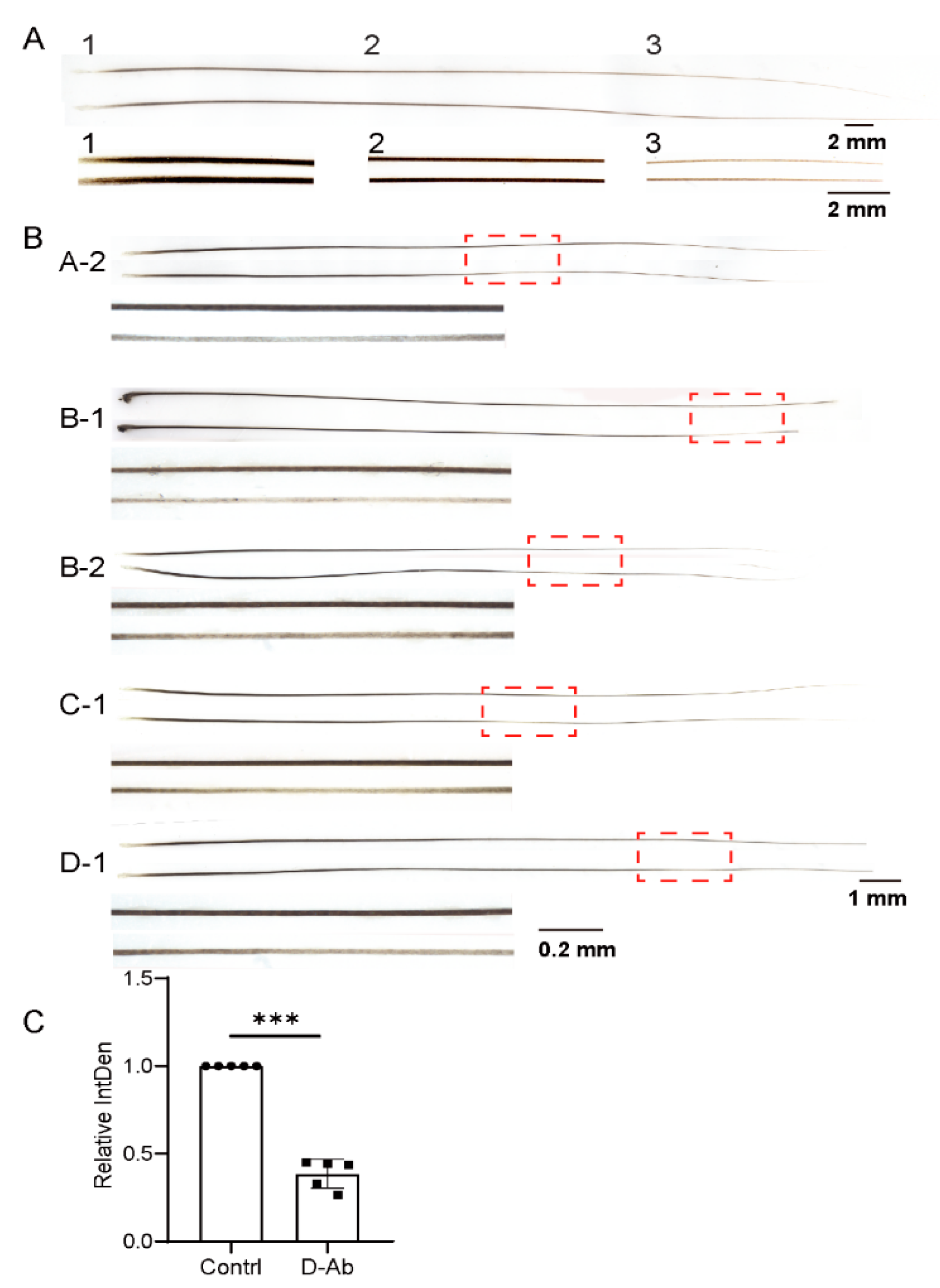 Biomolecules 13 01076 g005 Biomolecules 13 01076 g005
