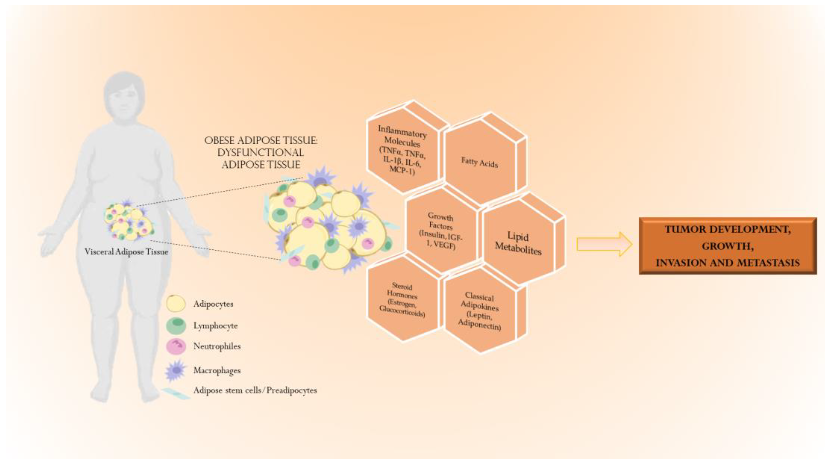 Biomolecules | Free Full-Text | Leptin: A Heavyweight Player in 