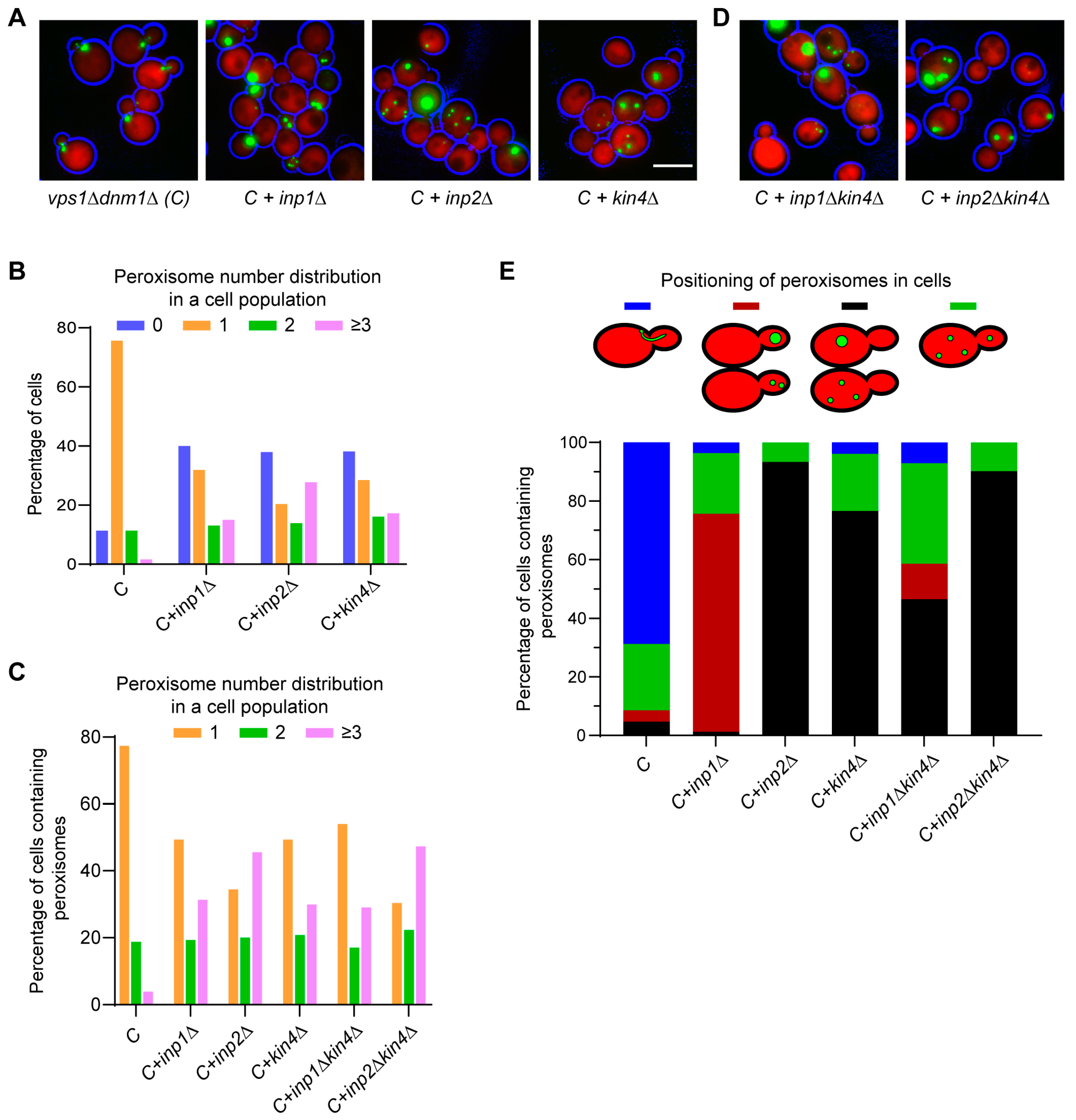 Biomolecules 13 01098 g002 Biomolecules 13 01098 g002
