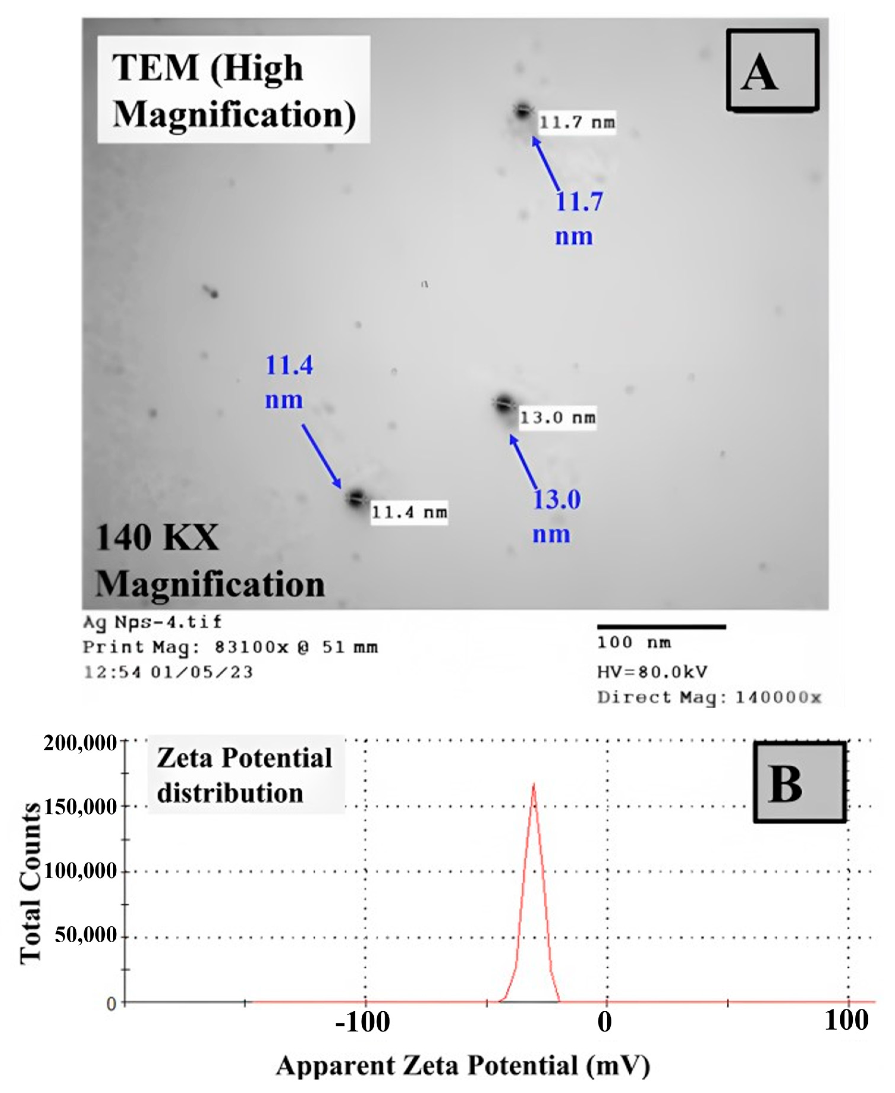 Biomolecules 13 01102 g005