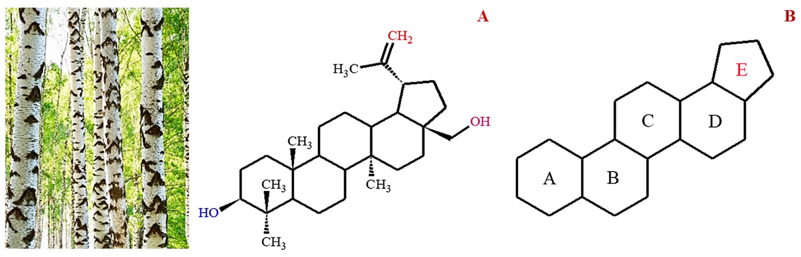 Biomolecules 13 01105 g001