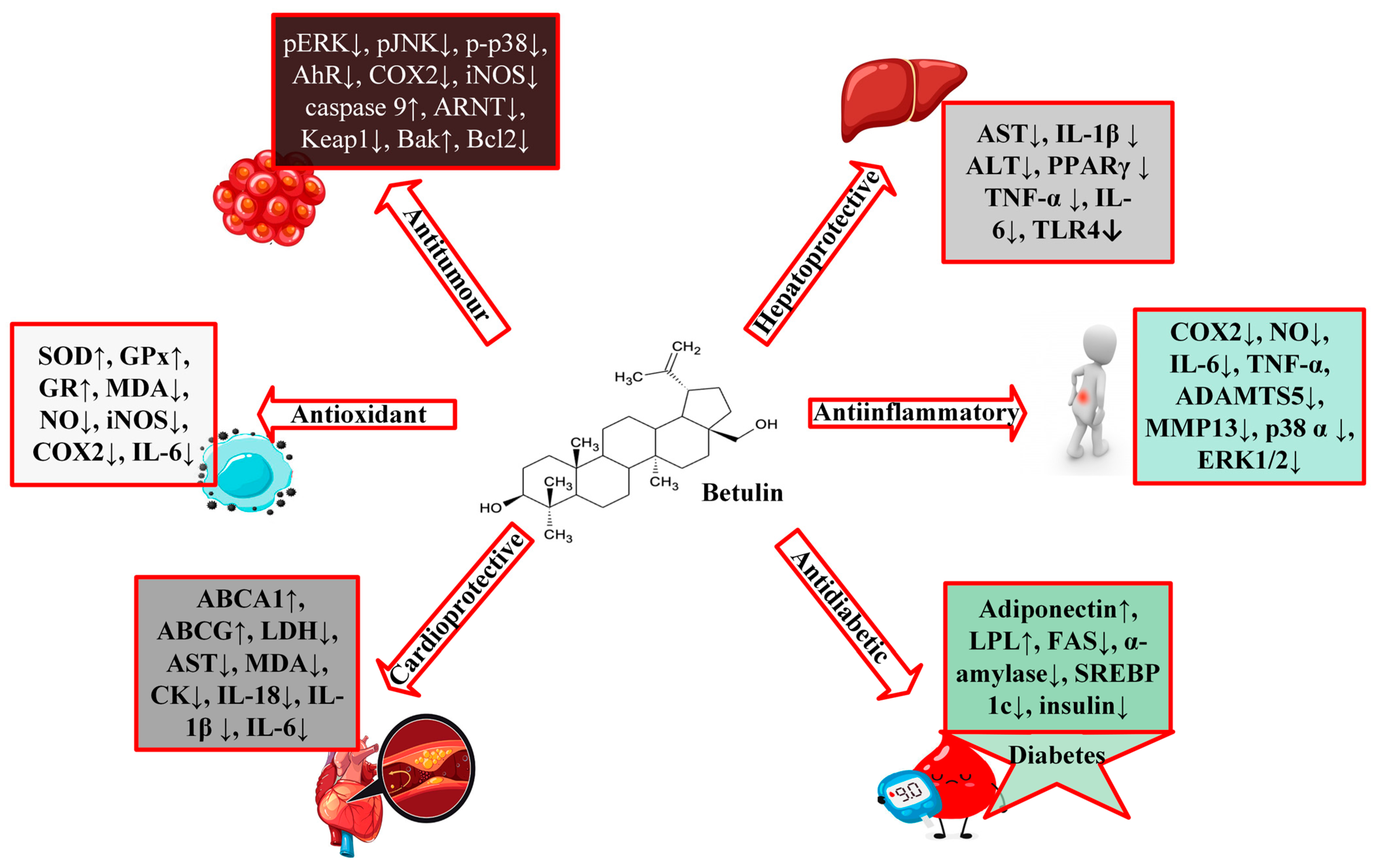 Biomolecules 13 01105 g002