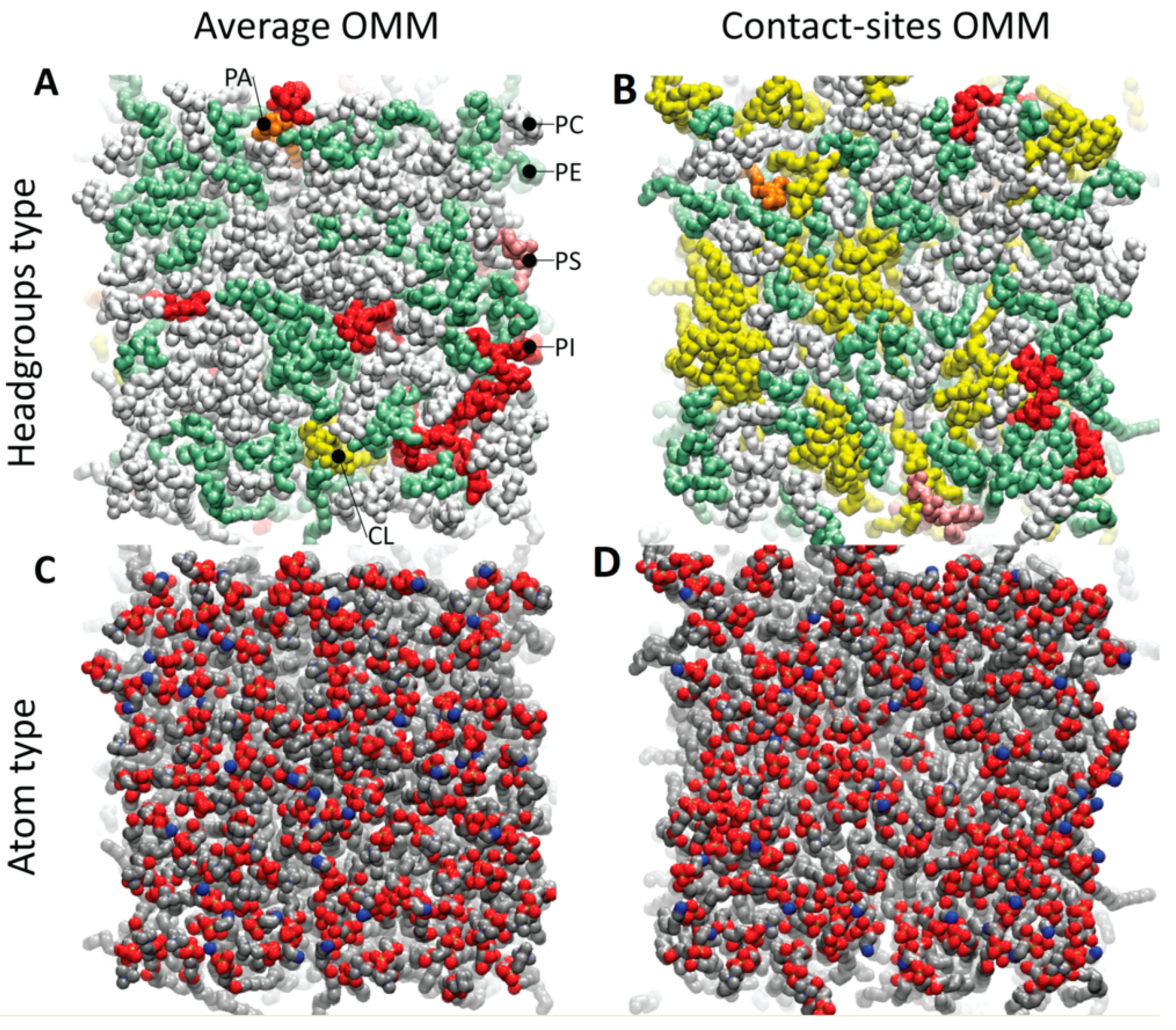 Biomolecules 13 01138 g001