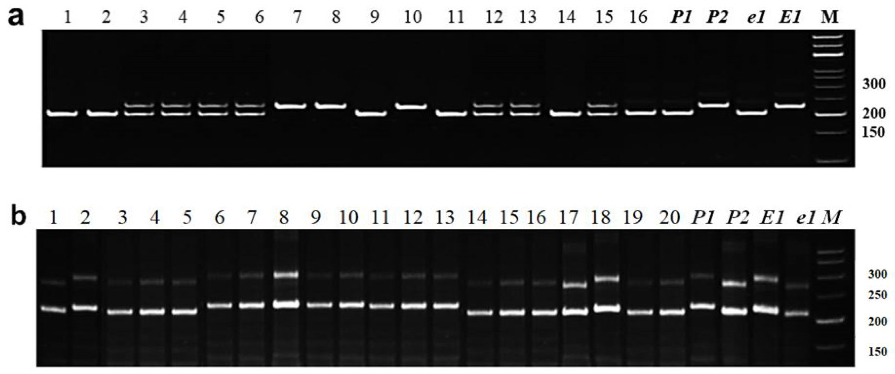 Biomolecules 13 01146 g001 Biomolecules 13 01146 g001