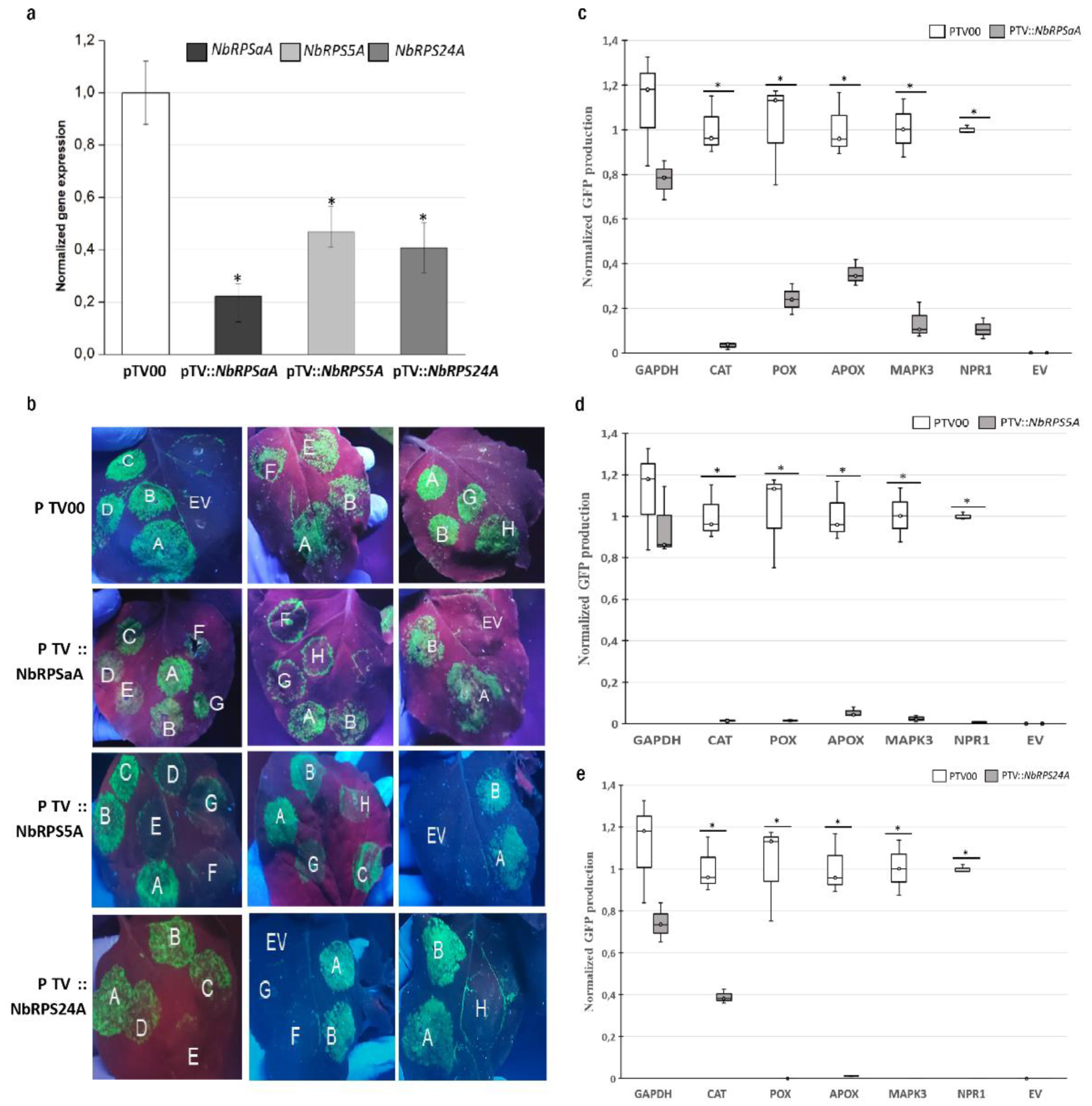 Biomolecules 13 01160 g002 Biomolecules 13 01160 g002