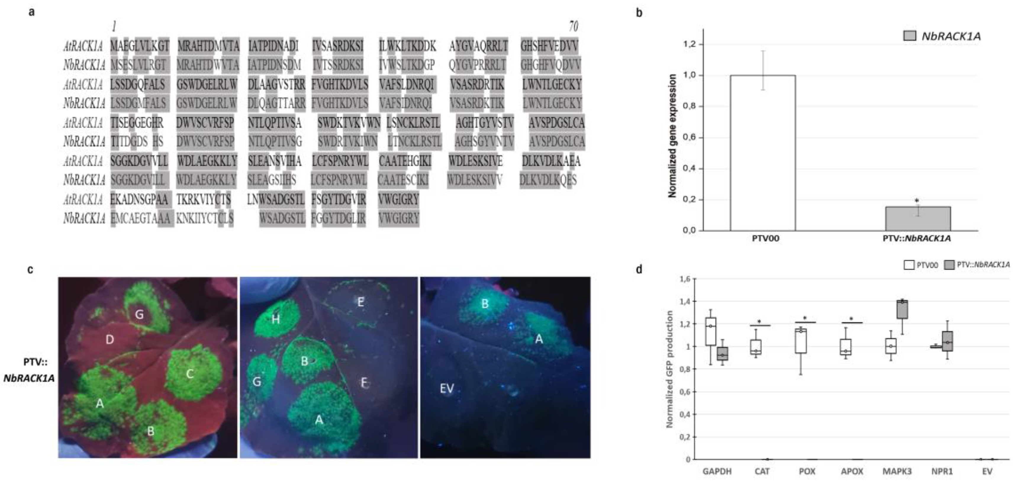 Biomolecules 13 01160 g004 Biomolecules 13 01160 g004