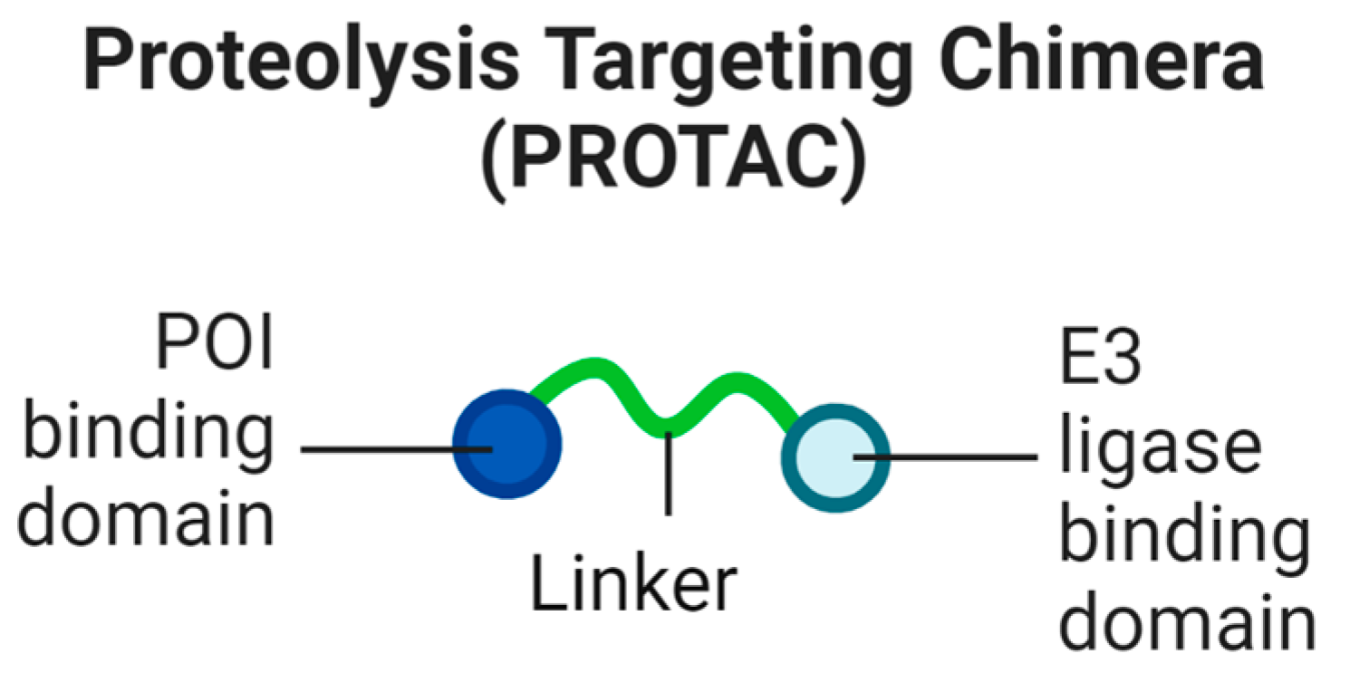 Biomolecules 13 01164 g001 Biomolecules 13 01164 g001