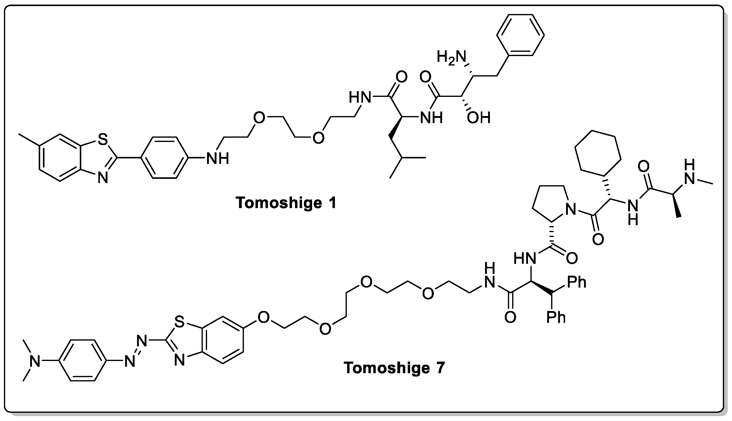 Biomolecules 13 01164 g009 Biomolecules 13 01164 g009