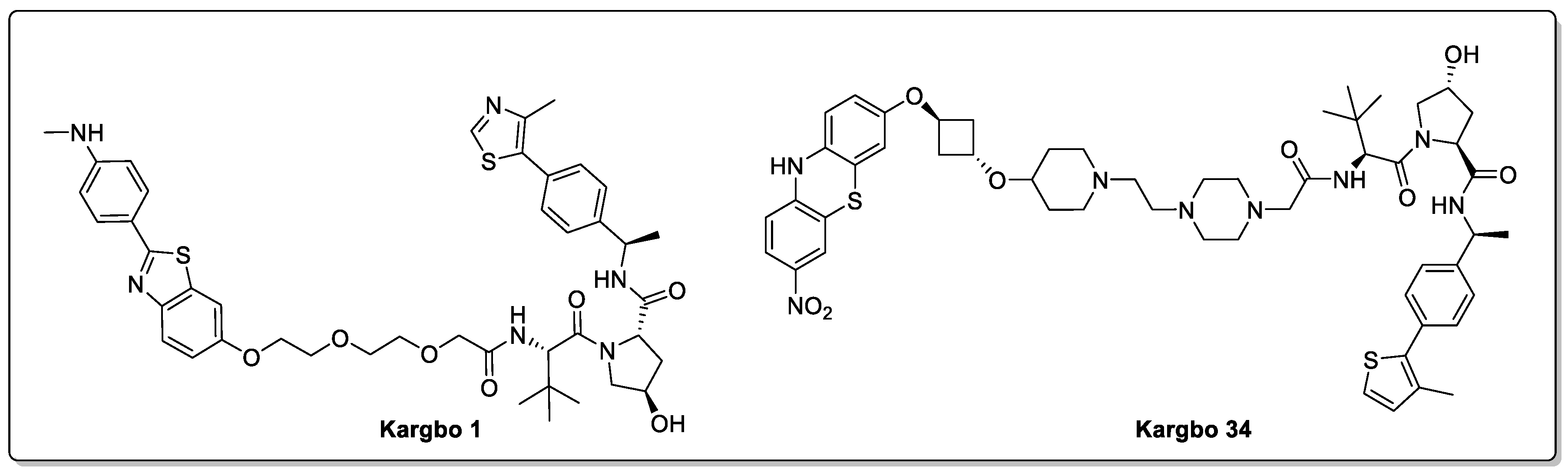 Biomolecules 13 01164 g011 Biomolecules 13 01164 g011