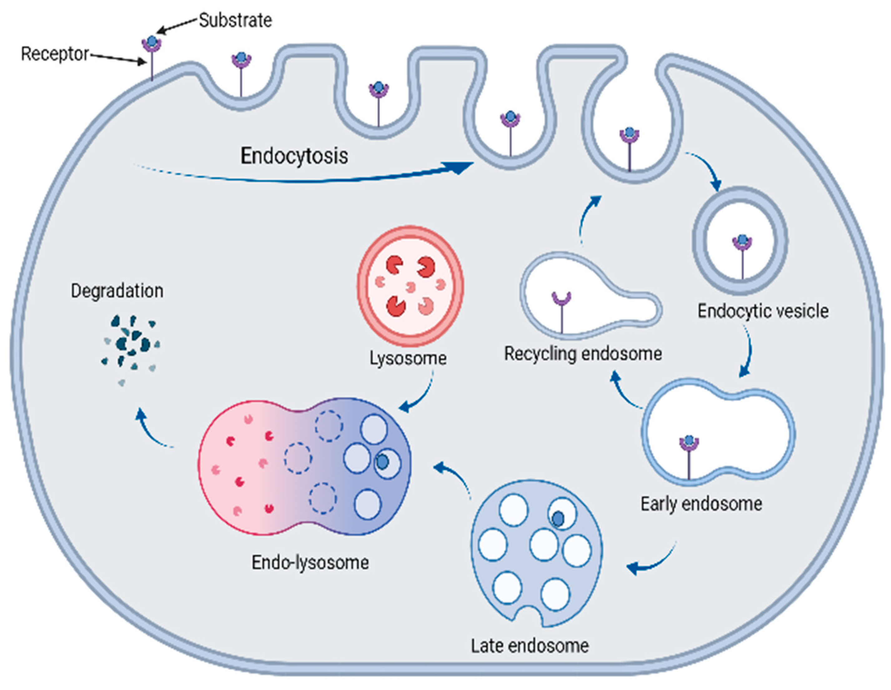 Biomolecules 13 01164 g013 Biomolecules 13 01164 g013