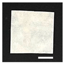 Biomolecules 13 01186 i005