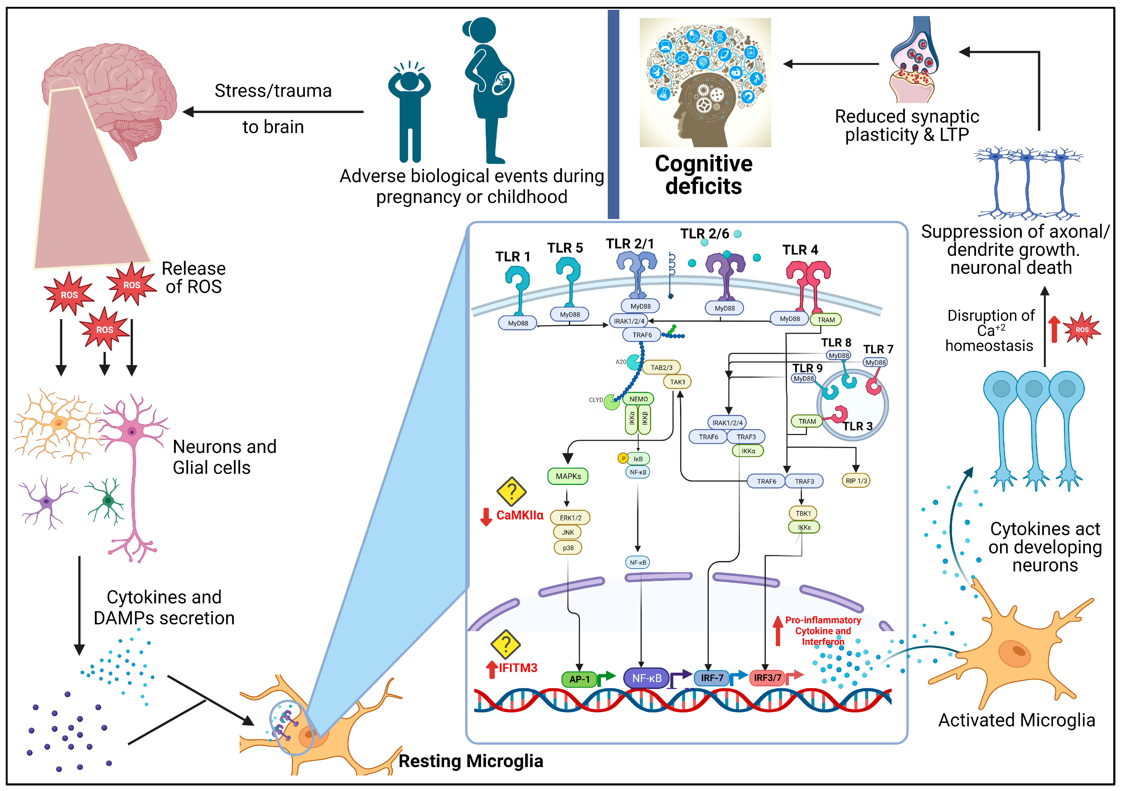 Biomolecules 13 01188 g001 Biomolecules 13 01188 g001