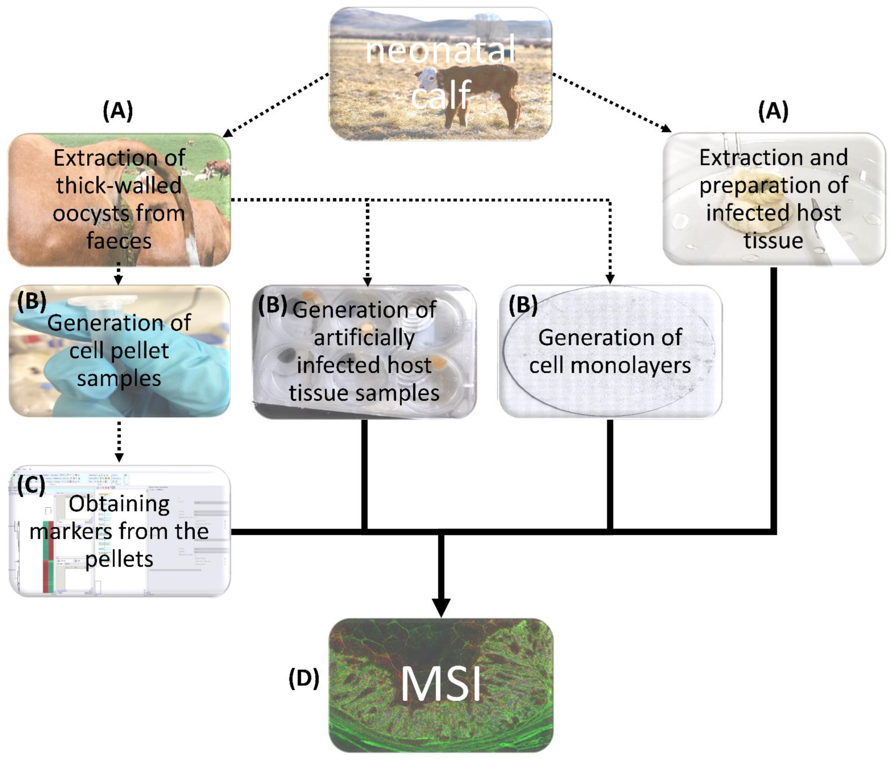 Biomolecules 13 01200 g001