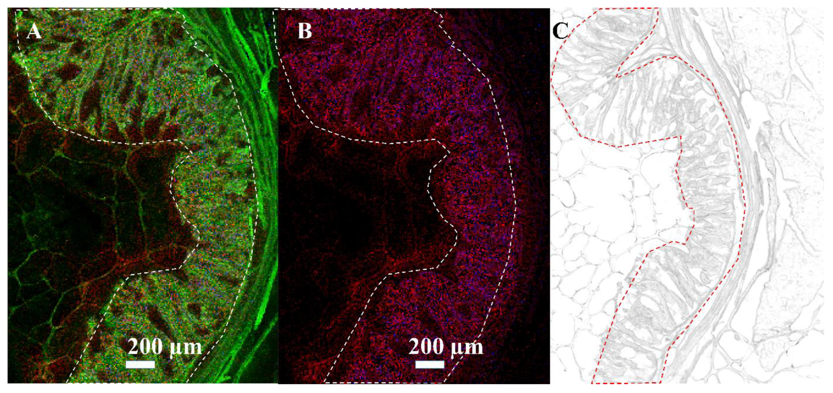 Biomolecules 13 01200 g005