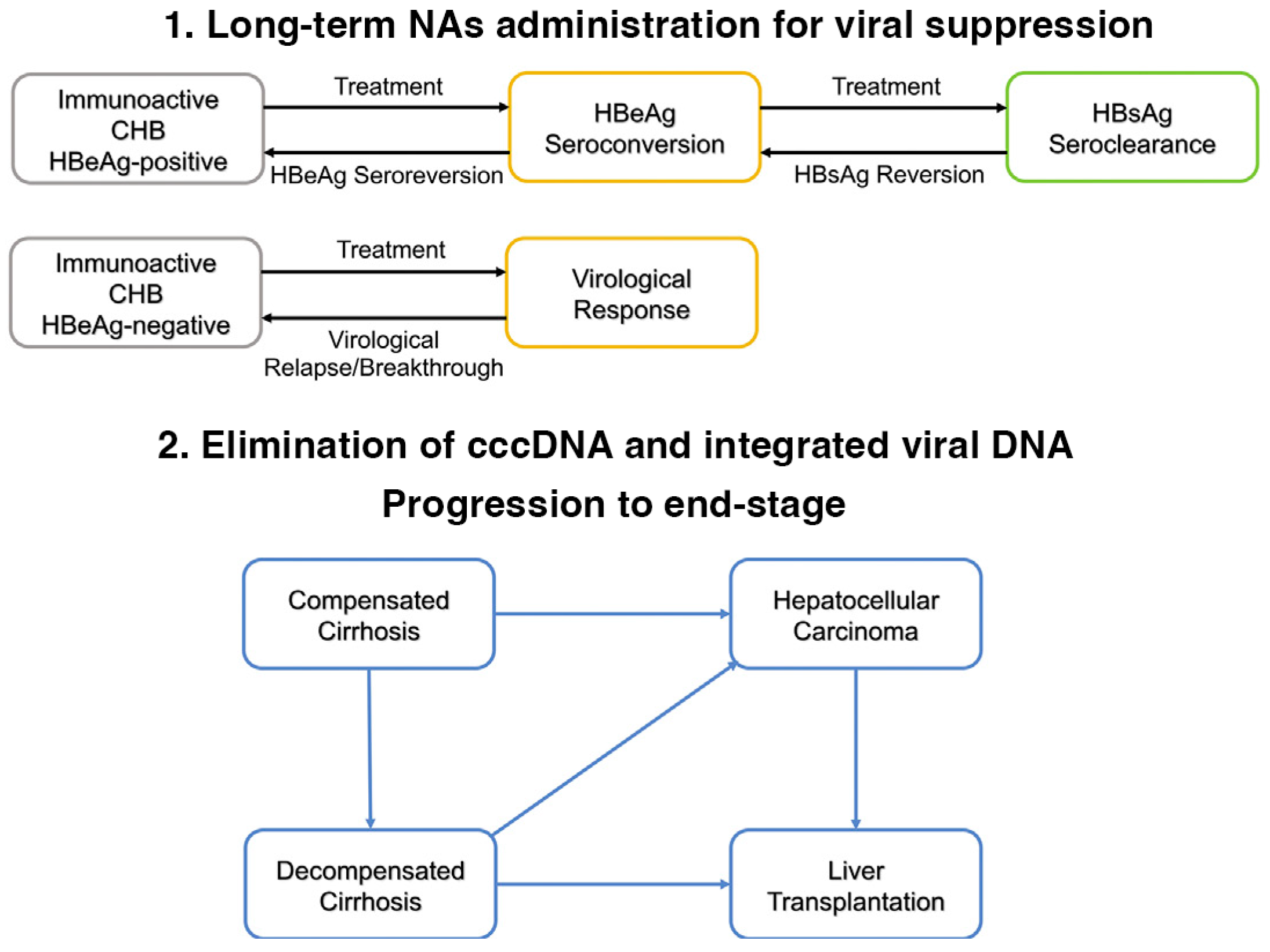 Biomolecules Free Full Text Chronic Hepatitis B Infection New Approaches Towards Cure