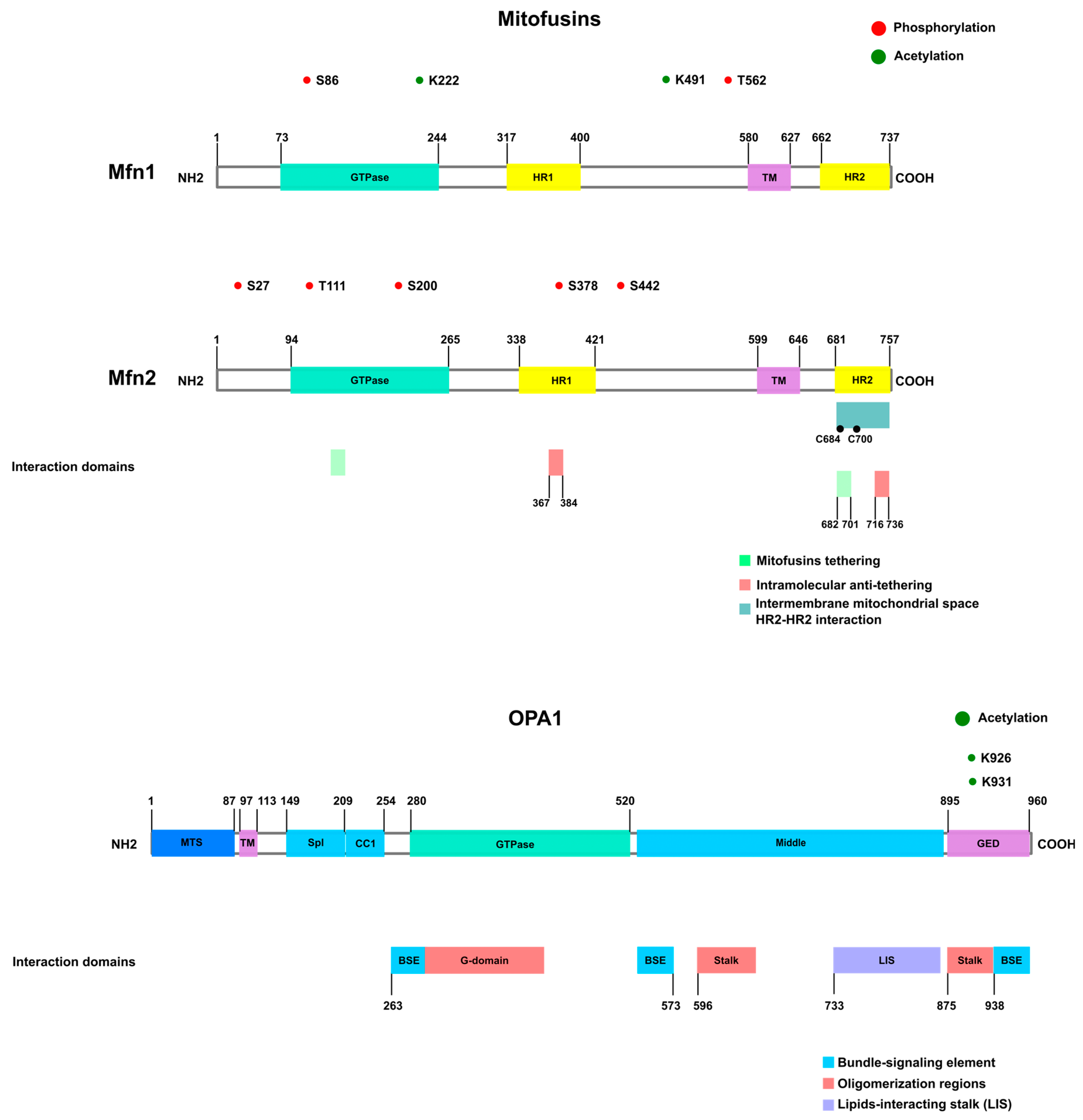 Biomolecules 13 01225 g003 Biomolecules 13 01225 g003