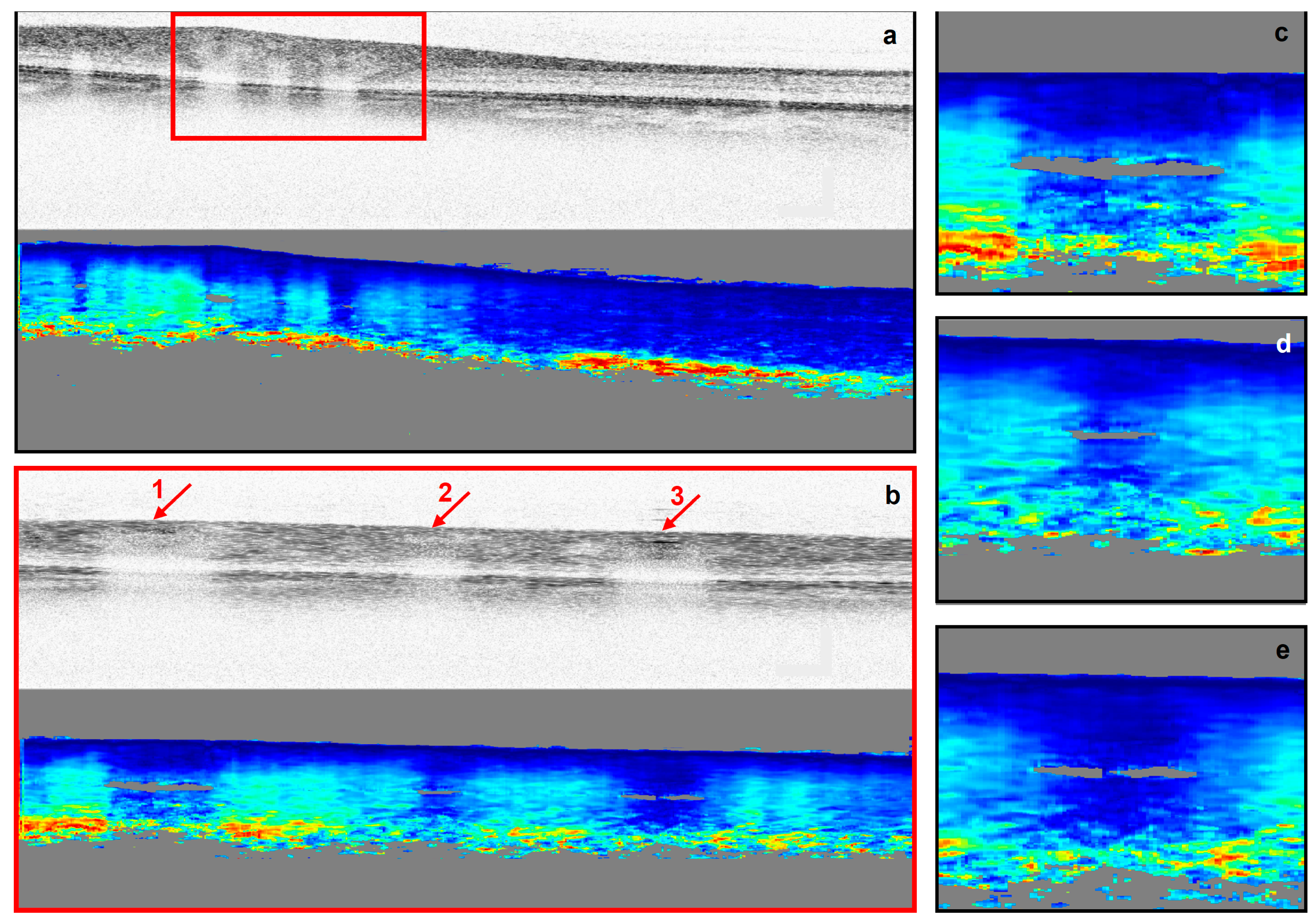 Biomolecules 13 01230 g001 Biomolecules 13 01230 g001