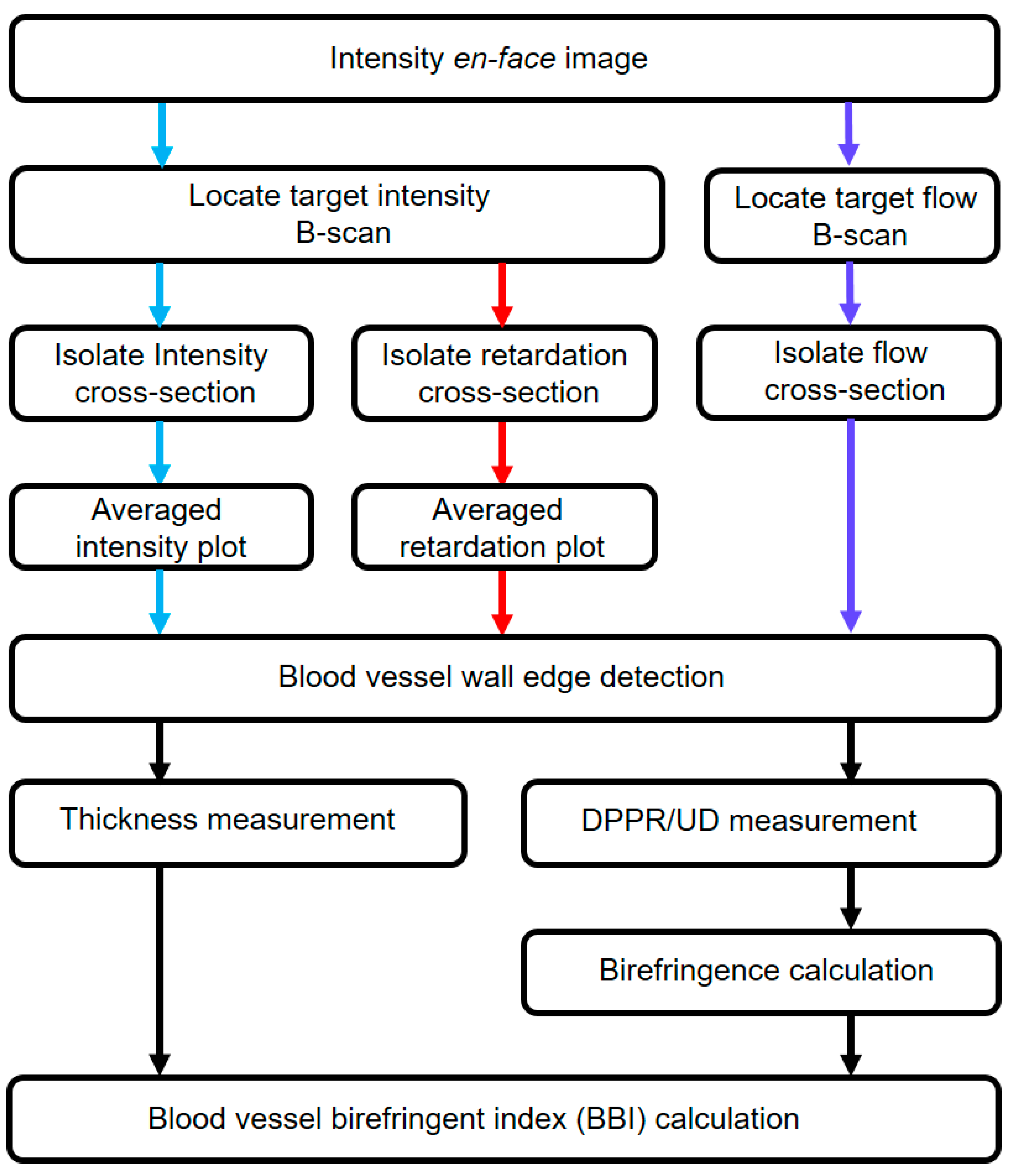 Biomolecules 13 01230 g002 Biomolecules 13 01230 g002