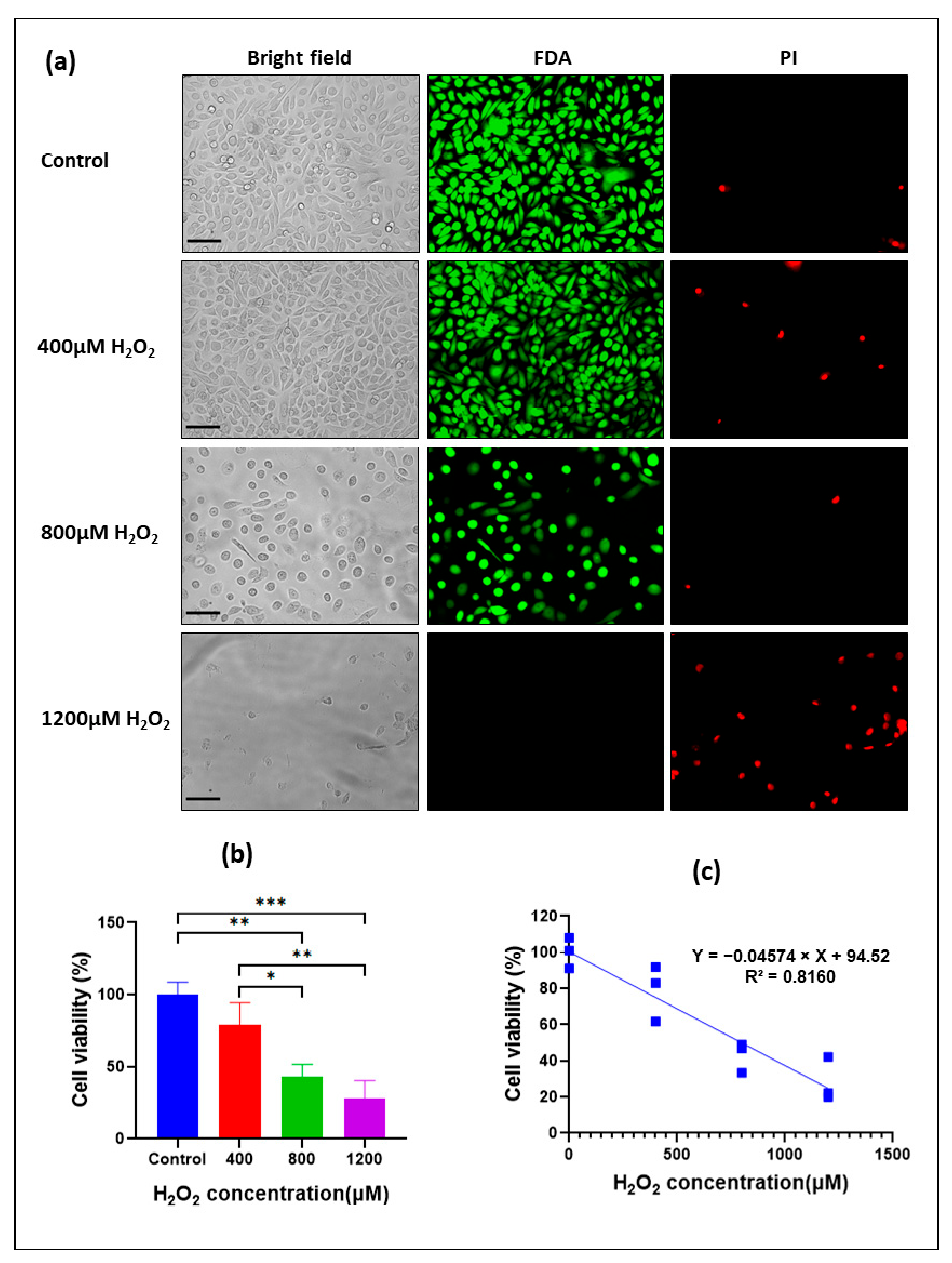 Biomolecules 13 01239 g003