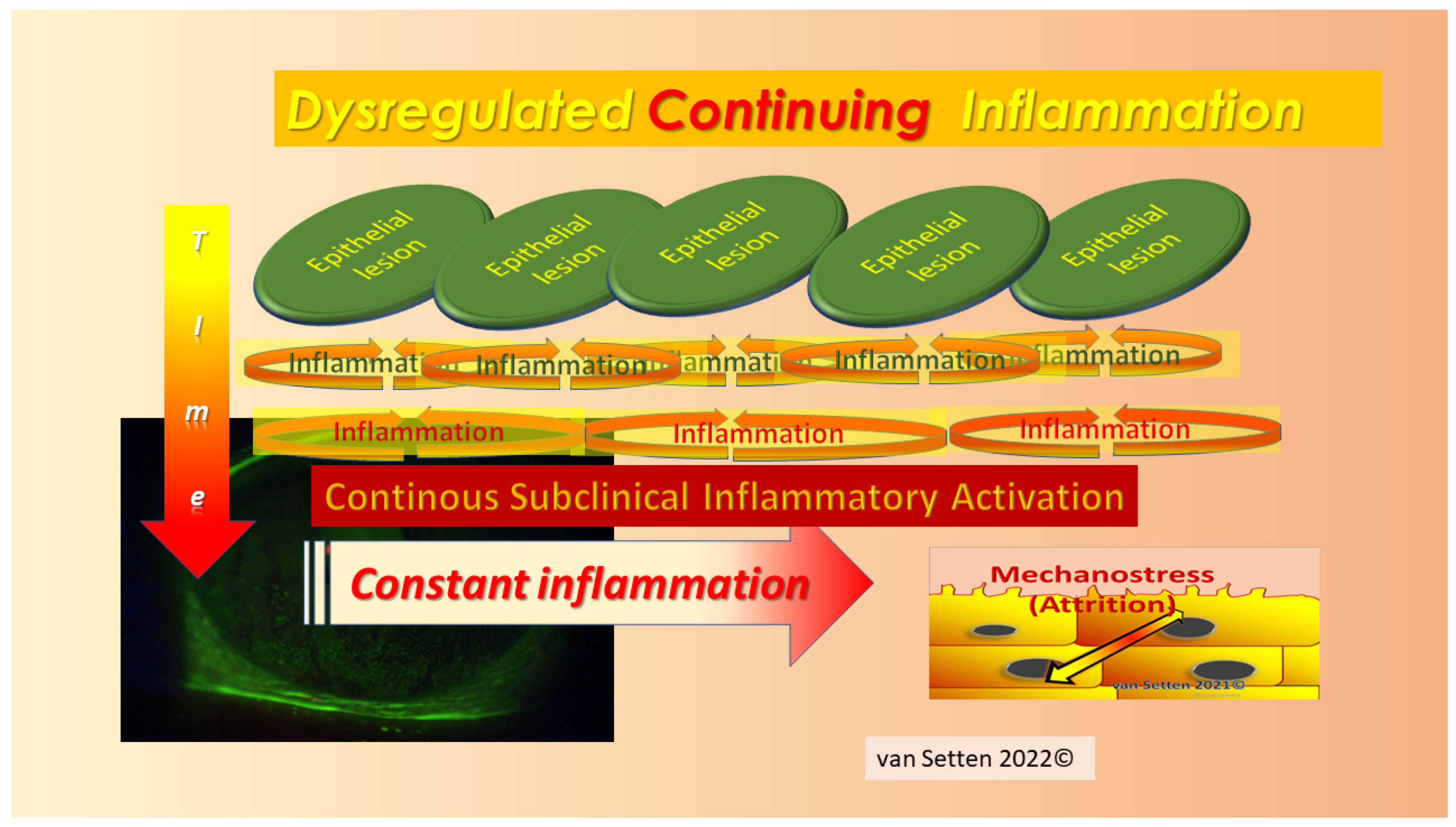 Biomolecules 13 01246 g008