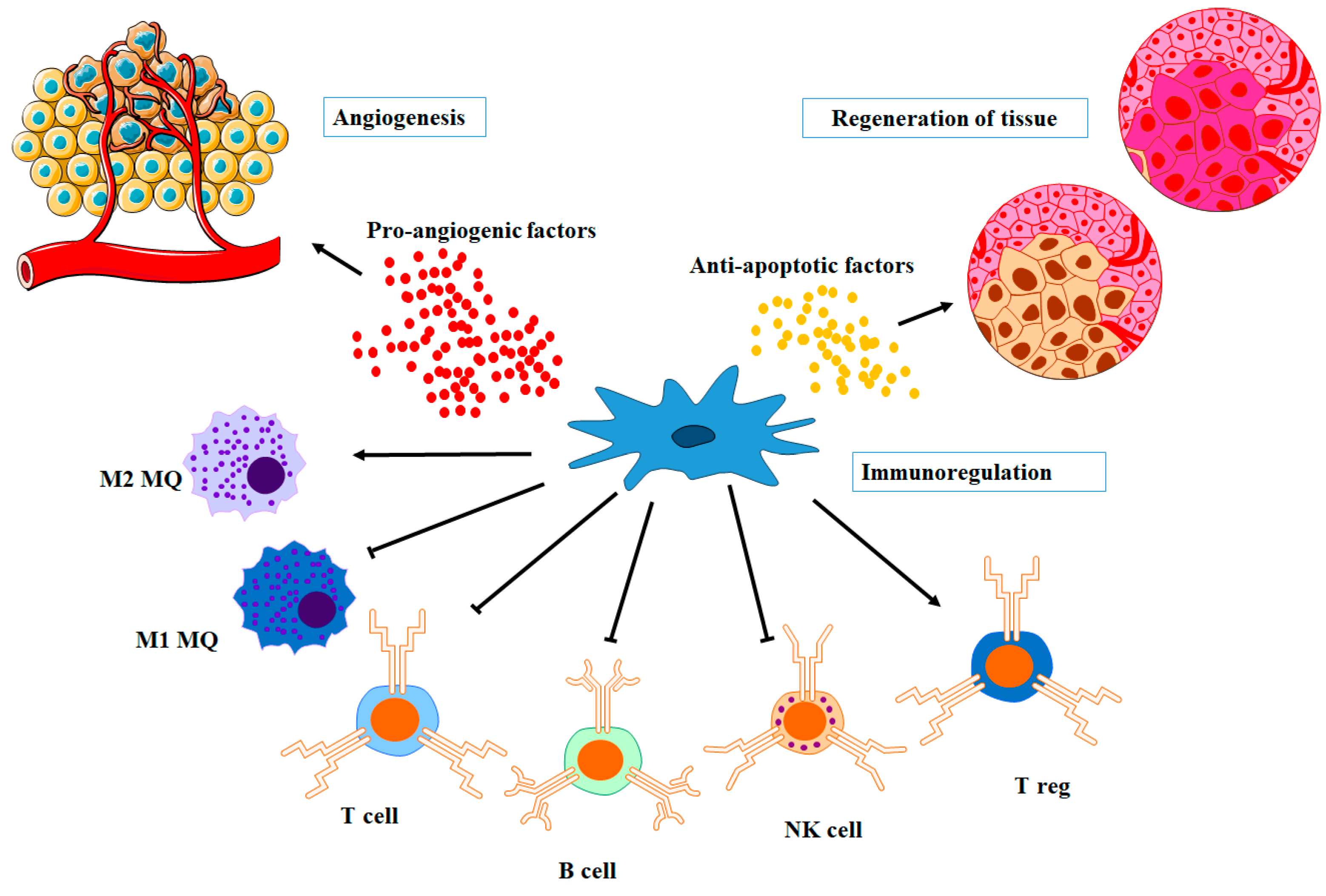 Biomolecules 13 01250 g003