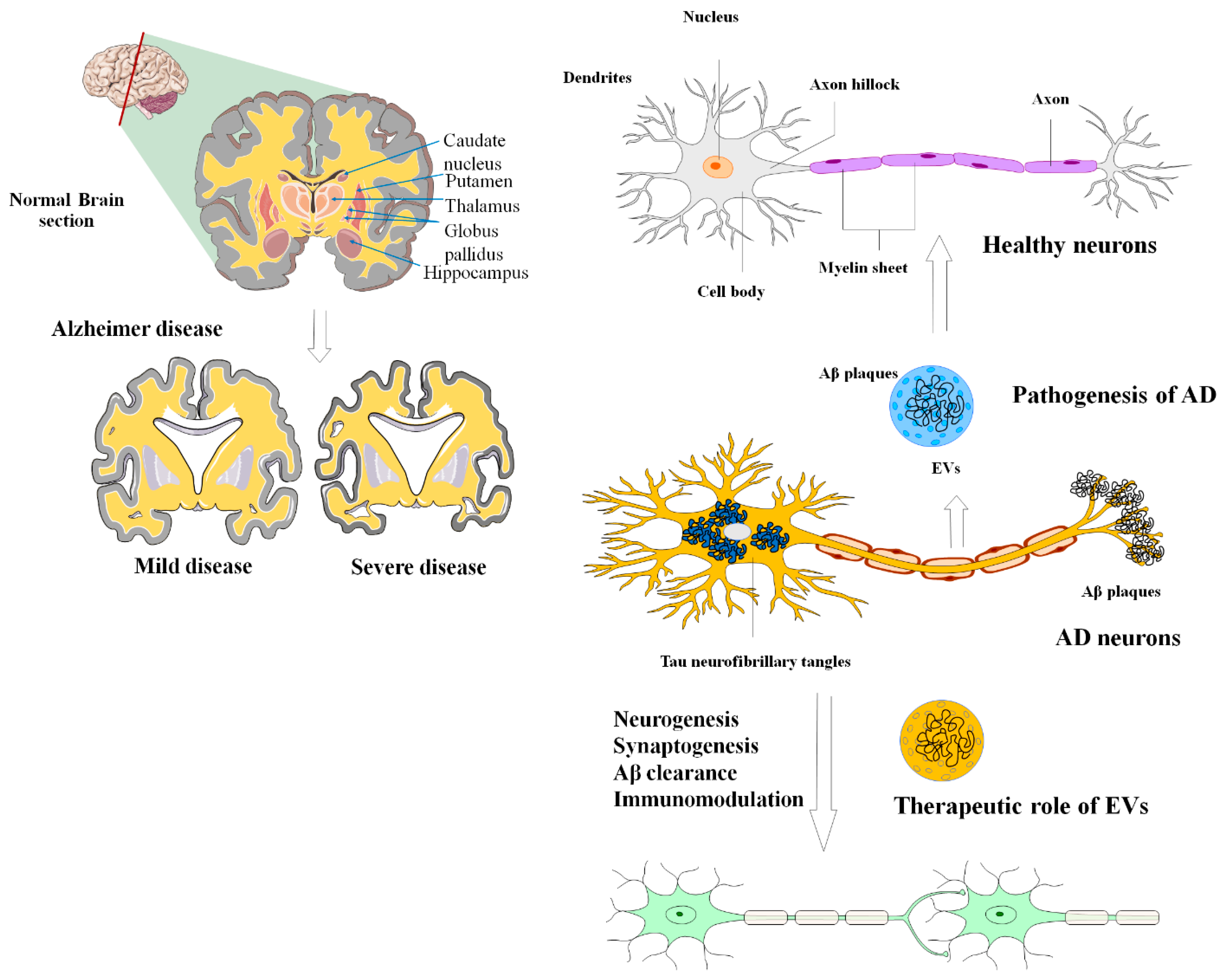 Biomolecules 13 01250 g004