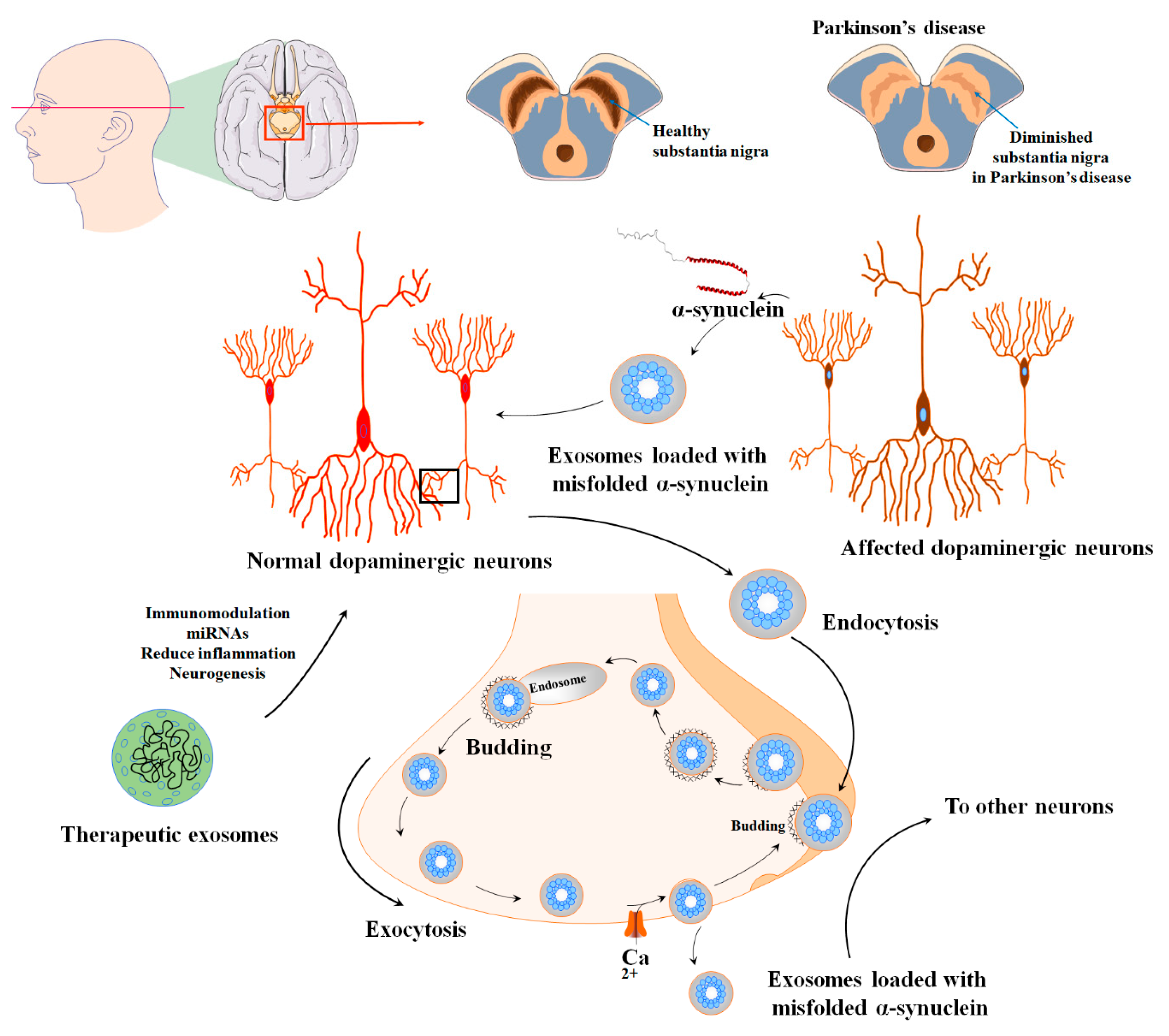Biomolecules 13 01250 g005