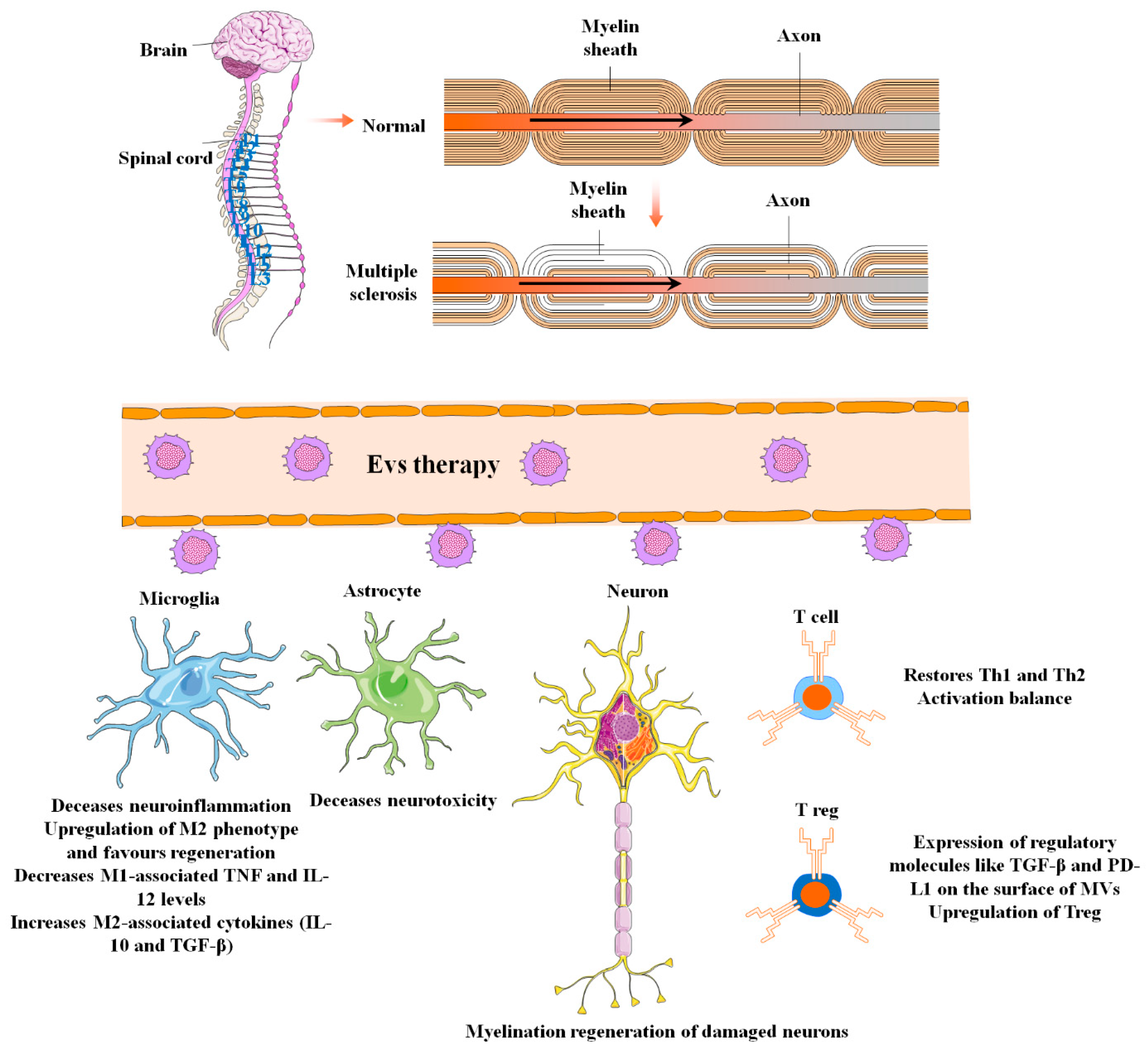 Biomolecules 13 01250 g006