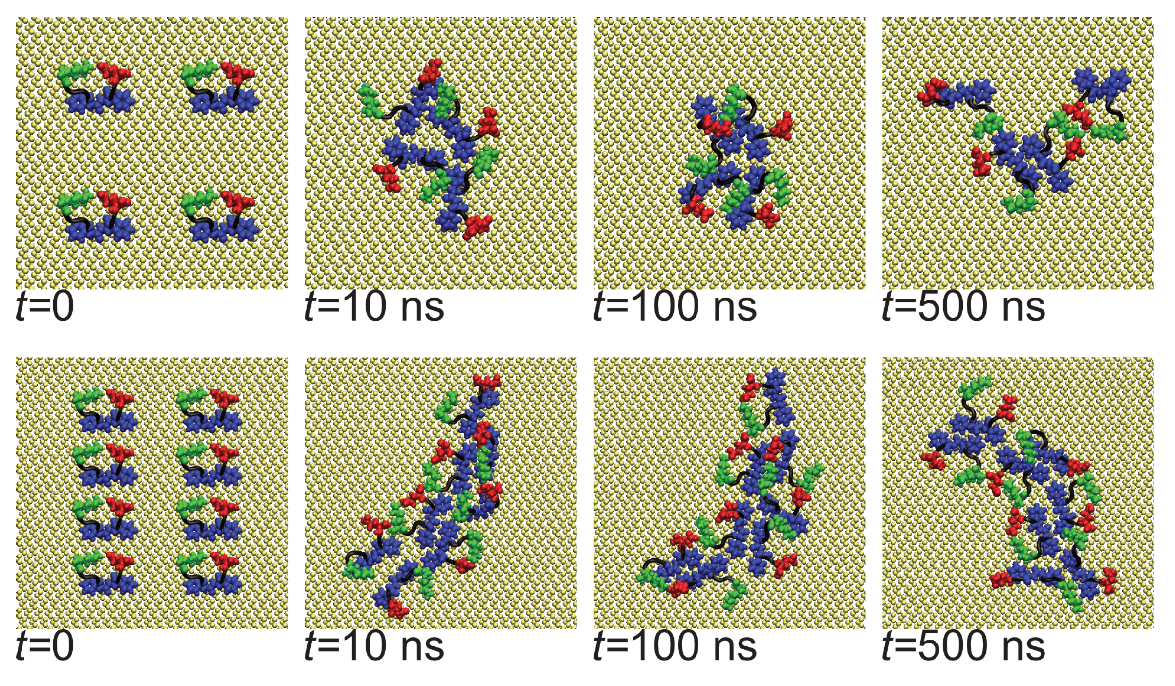 Biomolecules 13 01261 g003