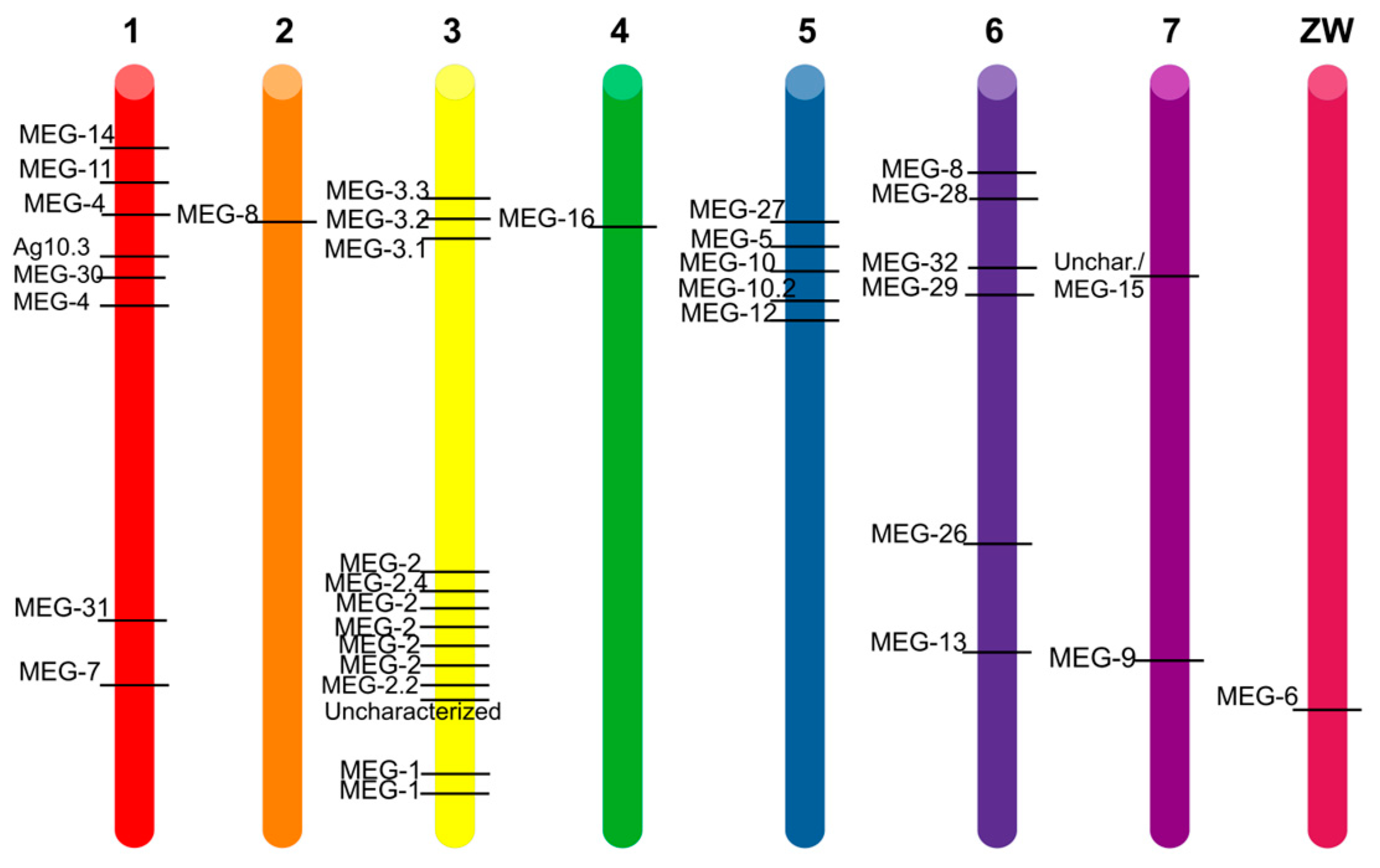 The role played by alternative splicing in antigenic variability in human  endo-parasites, Parasites & Vectors