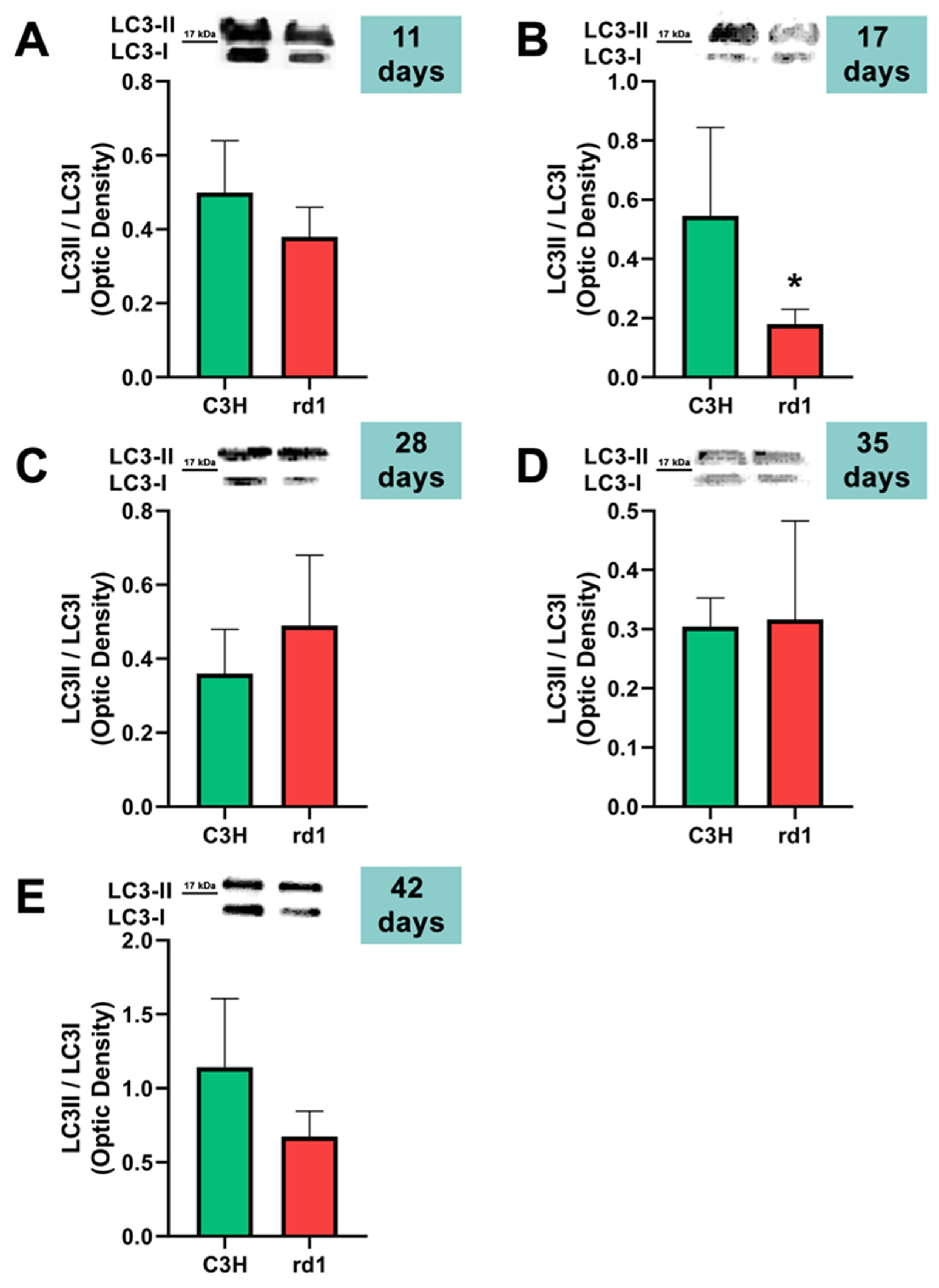 Biomolecules 13 01277 g006 Biomolecules 13 01277 g006