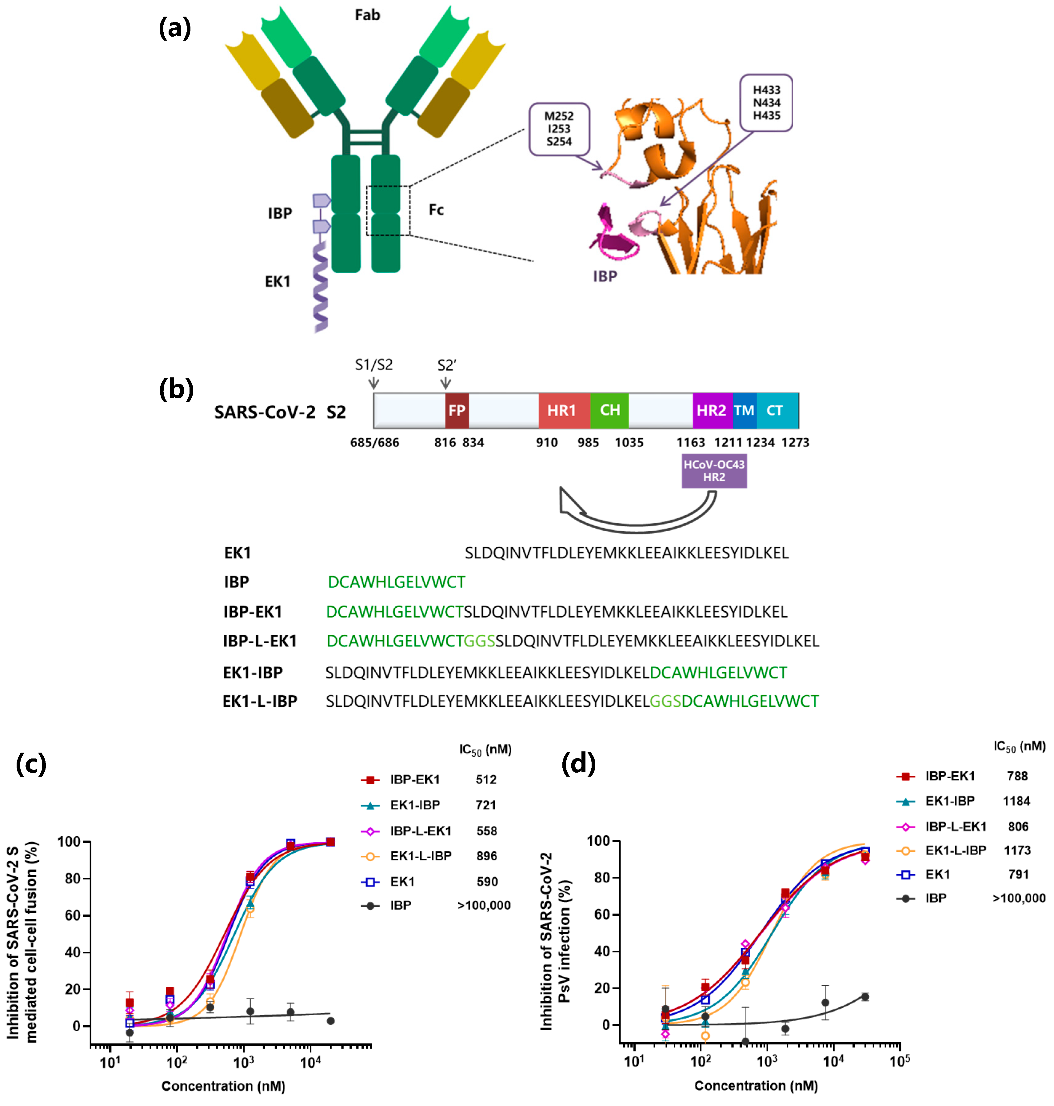 PDF) Fc-Mediated Functions of Porcine IgG Subclasses