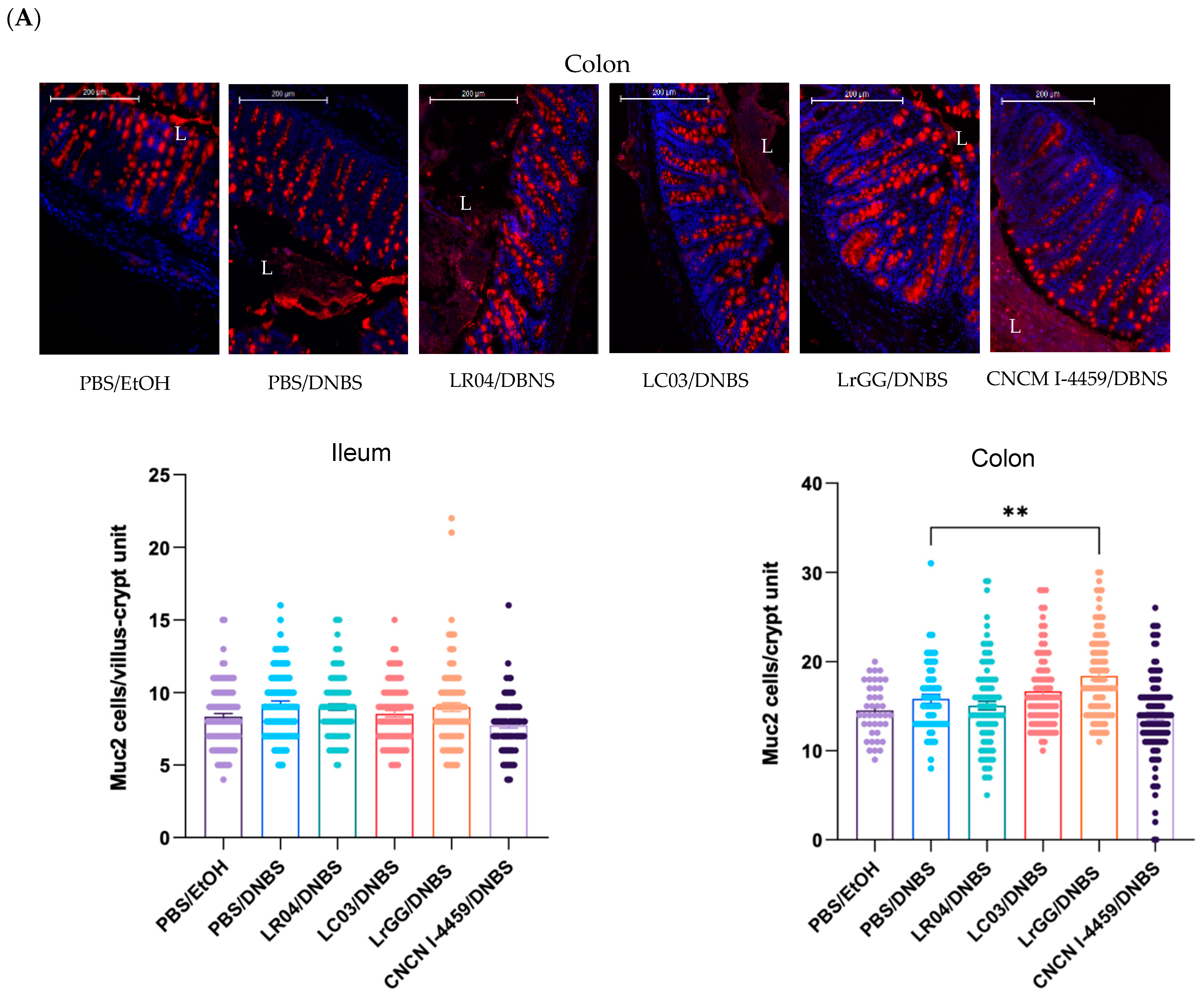 Biomolecules 13 01295 g006a