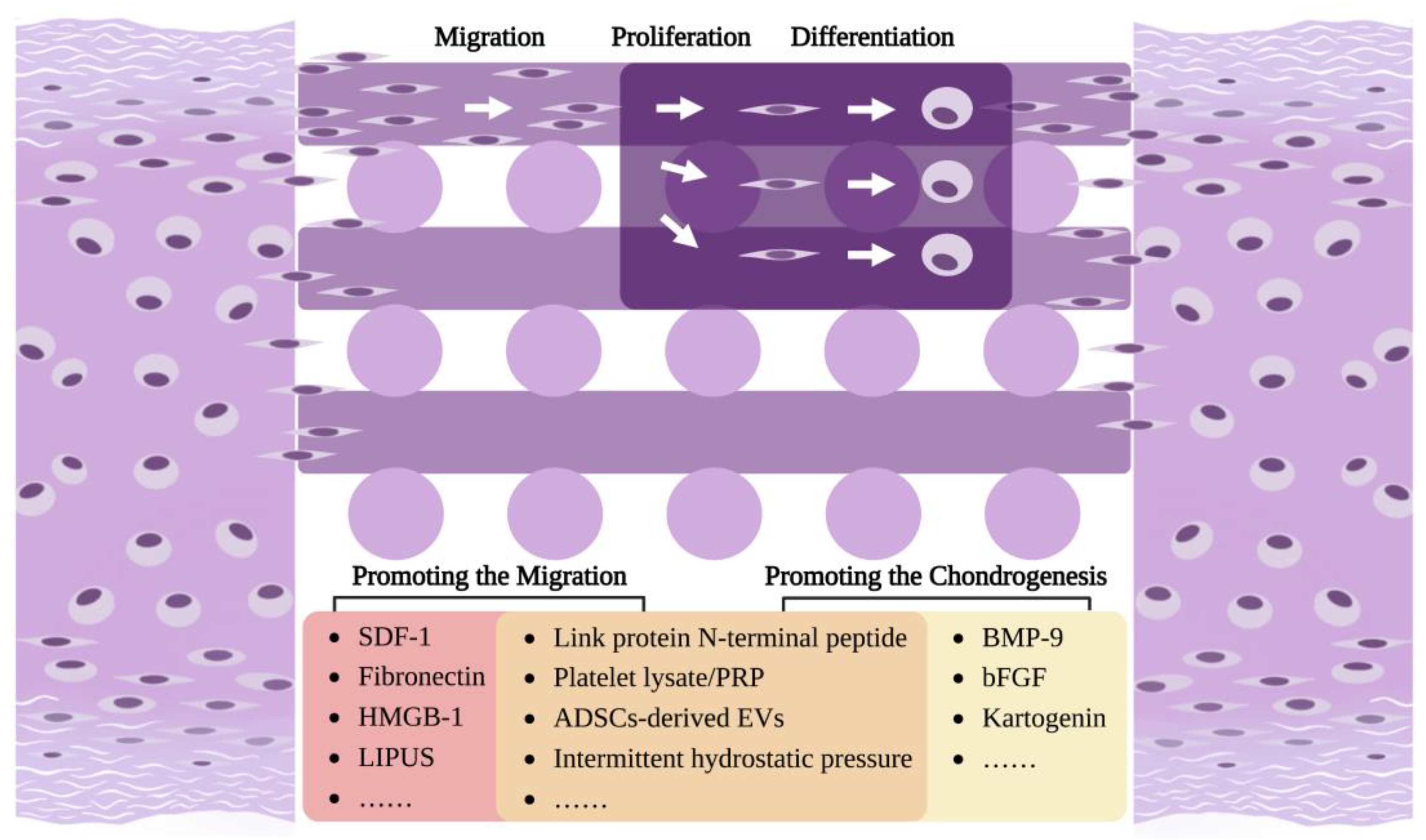 Biomolecules 13 01302 g005