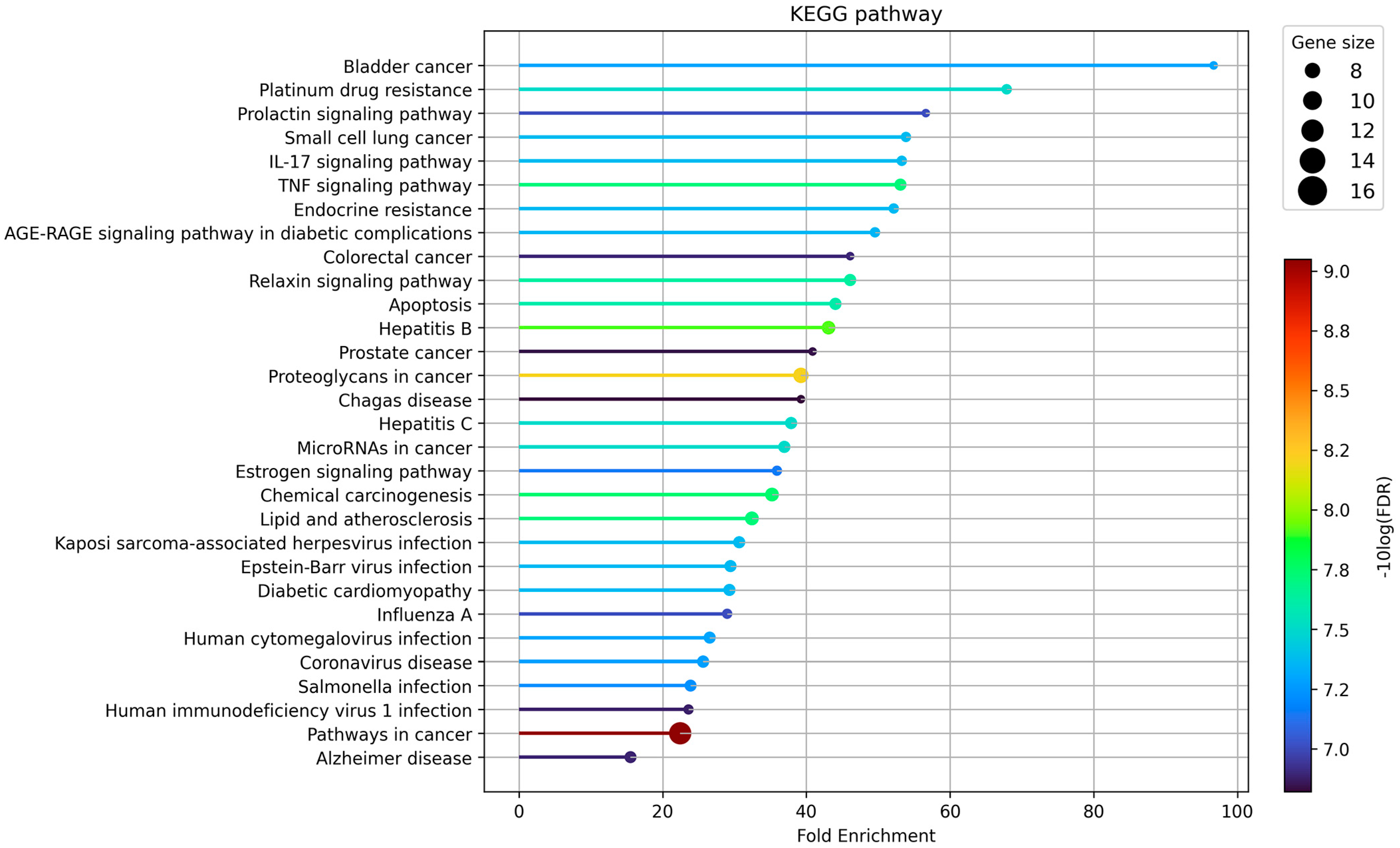 Biomolecules 13 01322 g008