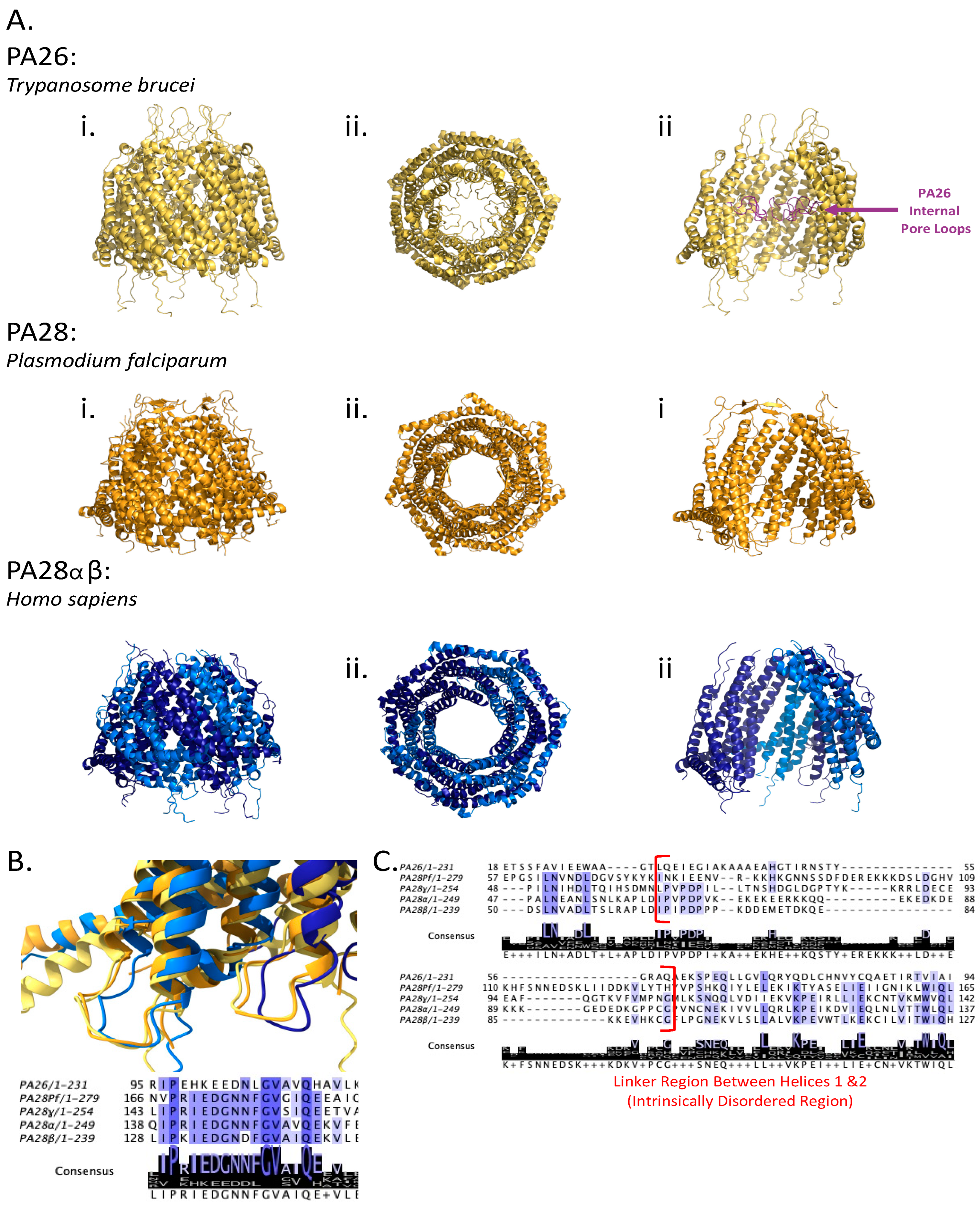 Biomolecules 13 01326 g004 Biomolecules 13 01326 g004