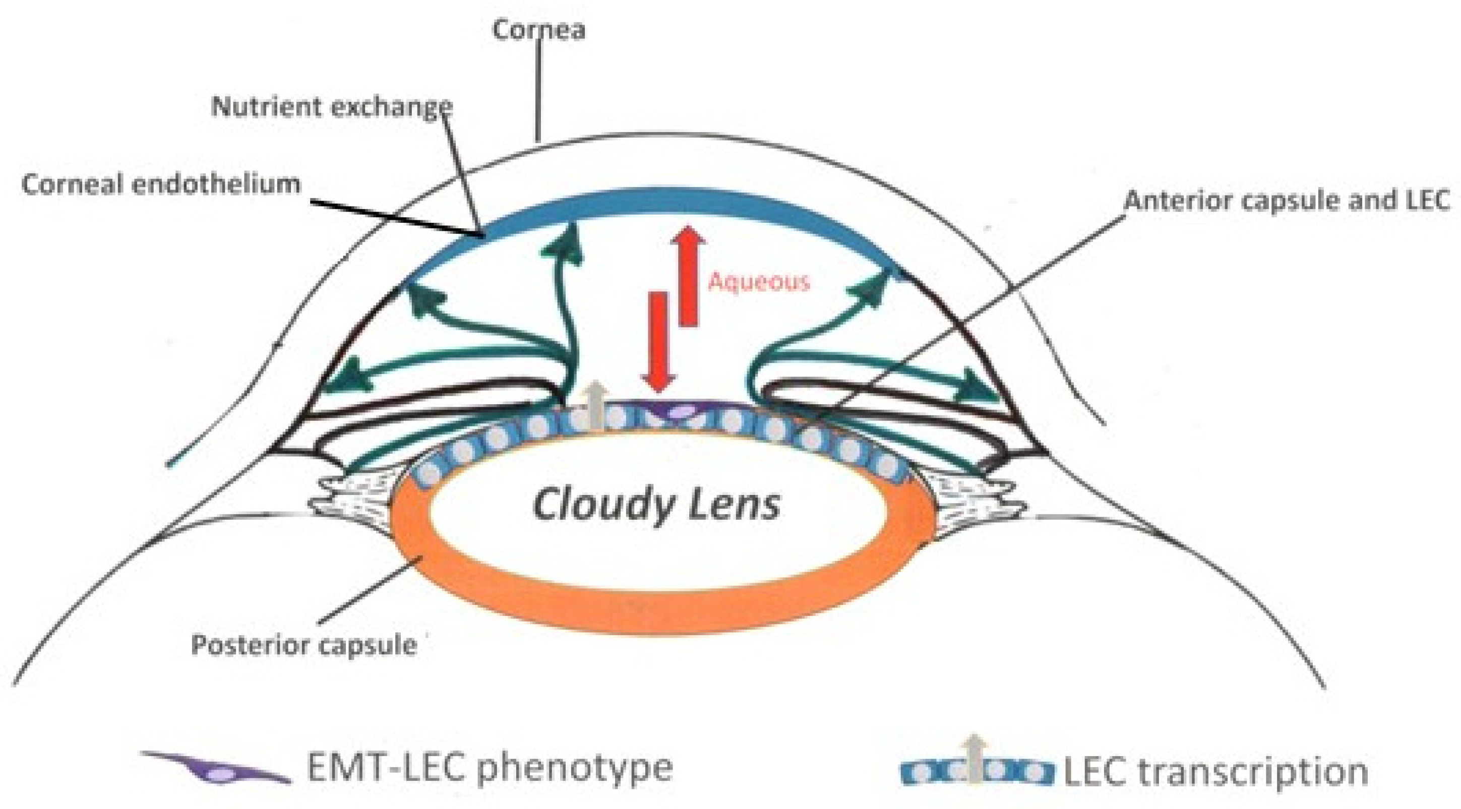 Biomolecules 13 01328 g007