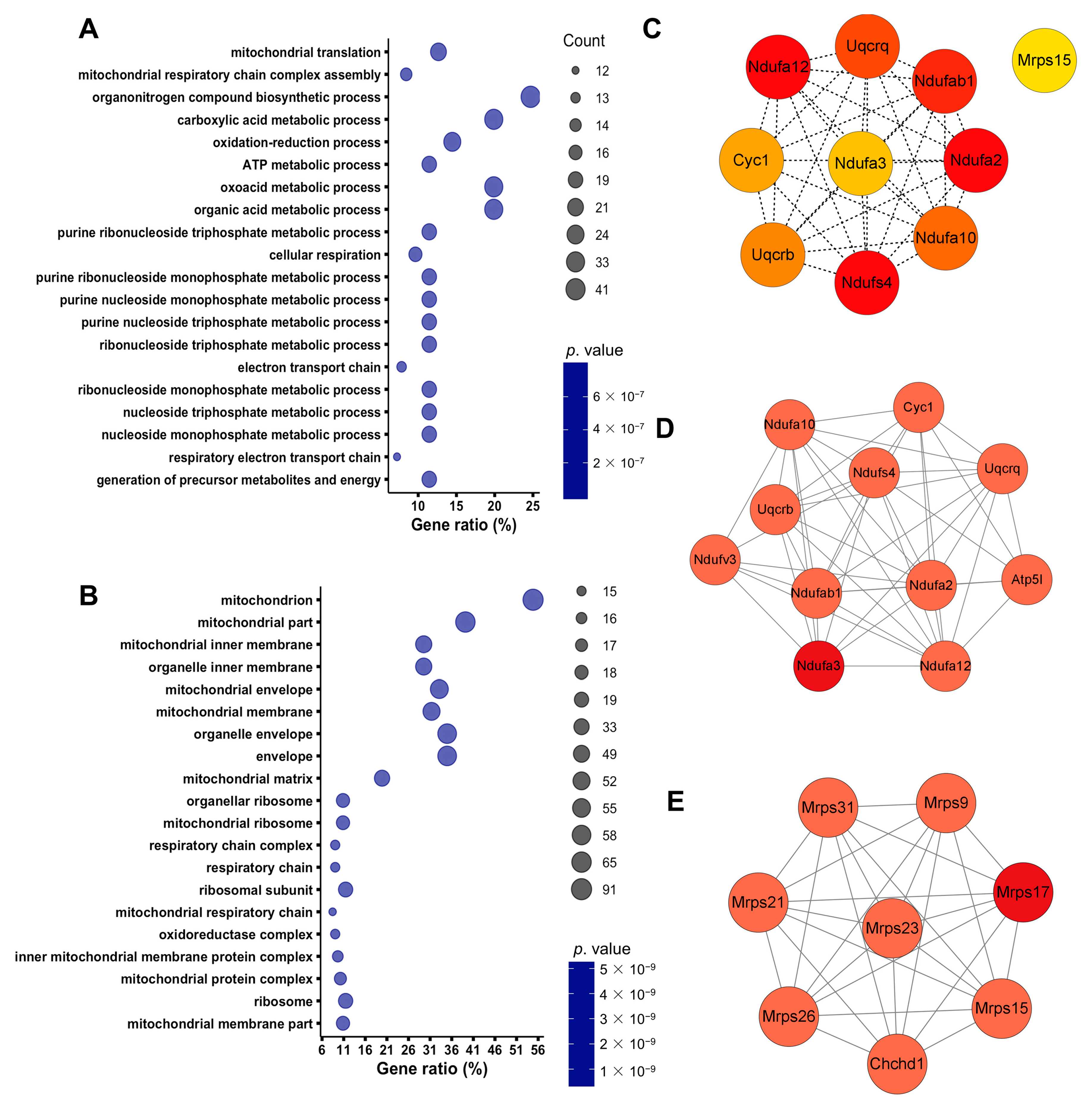 Biomolecules 13 01329 g002