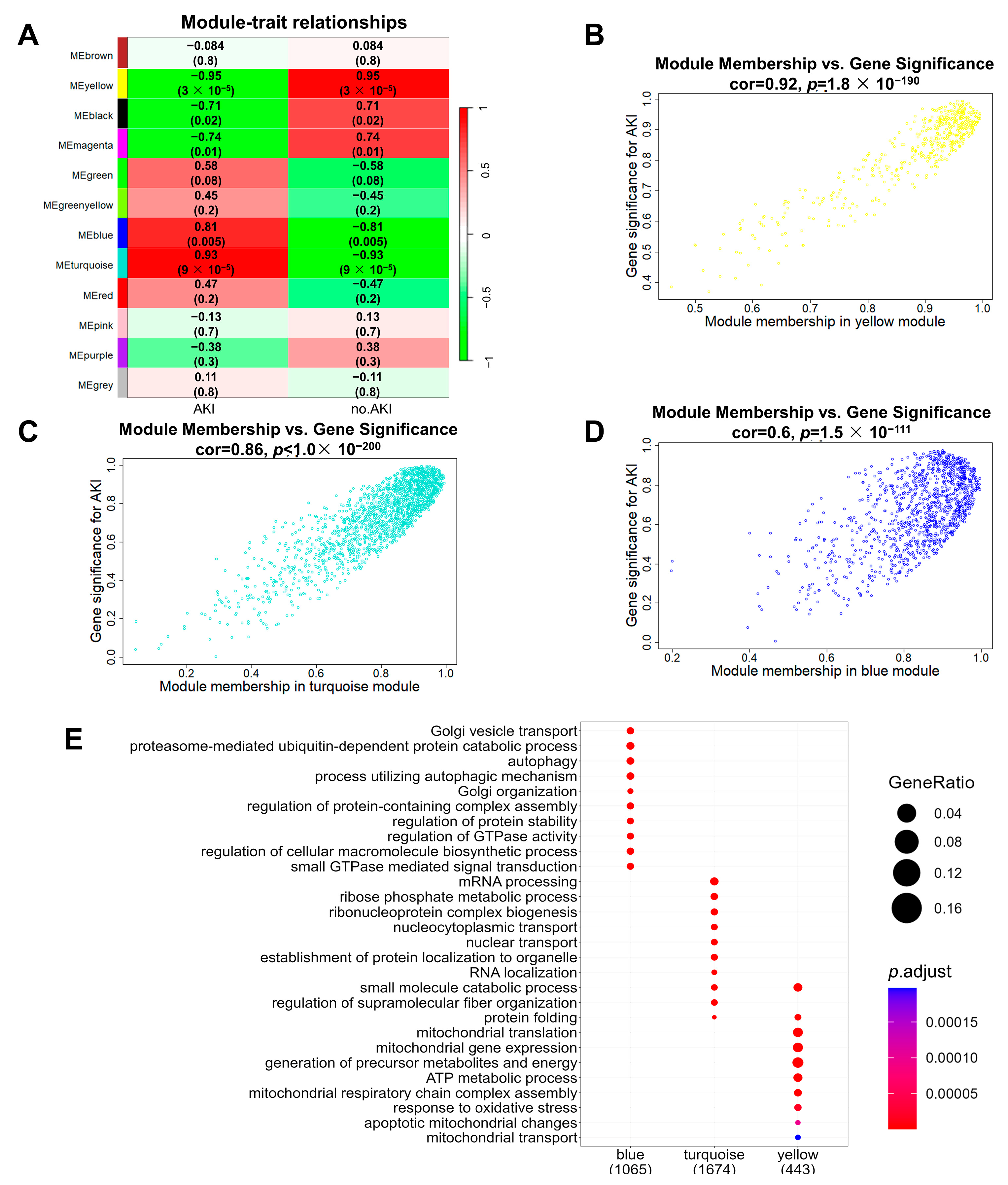 Biomolecules 13 01329 g005