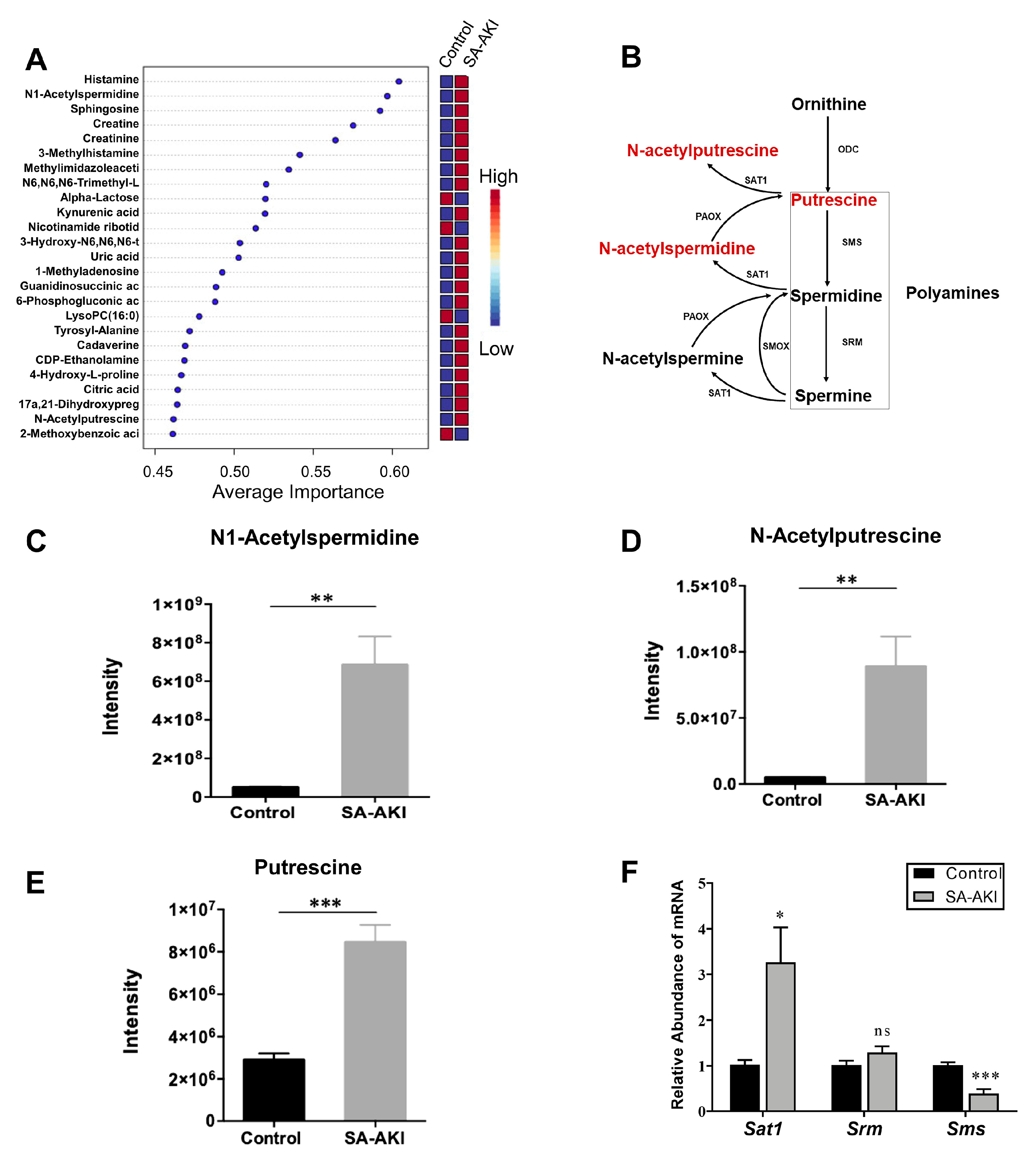 Biomolecules 13 01329 g008