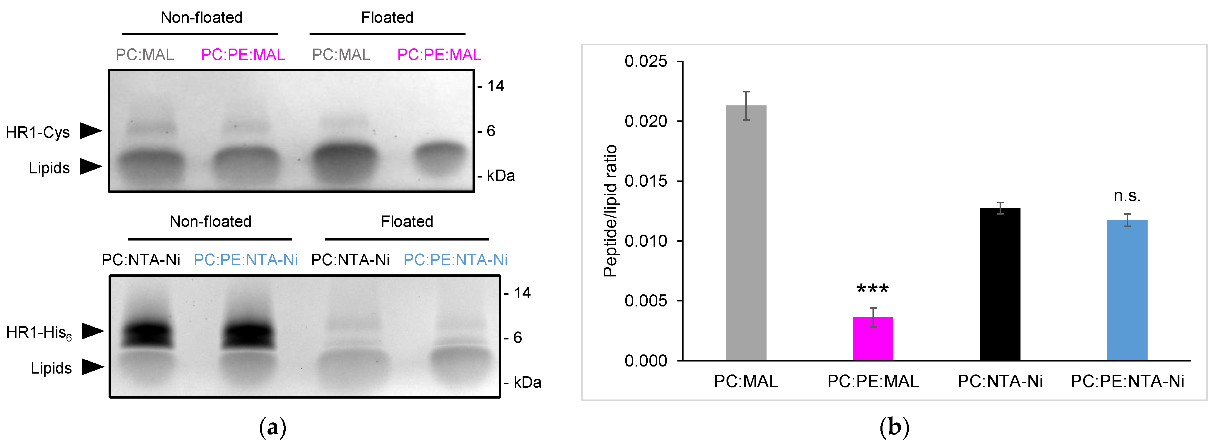 Biomolecules 13 01341 g002