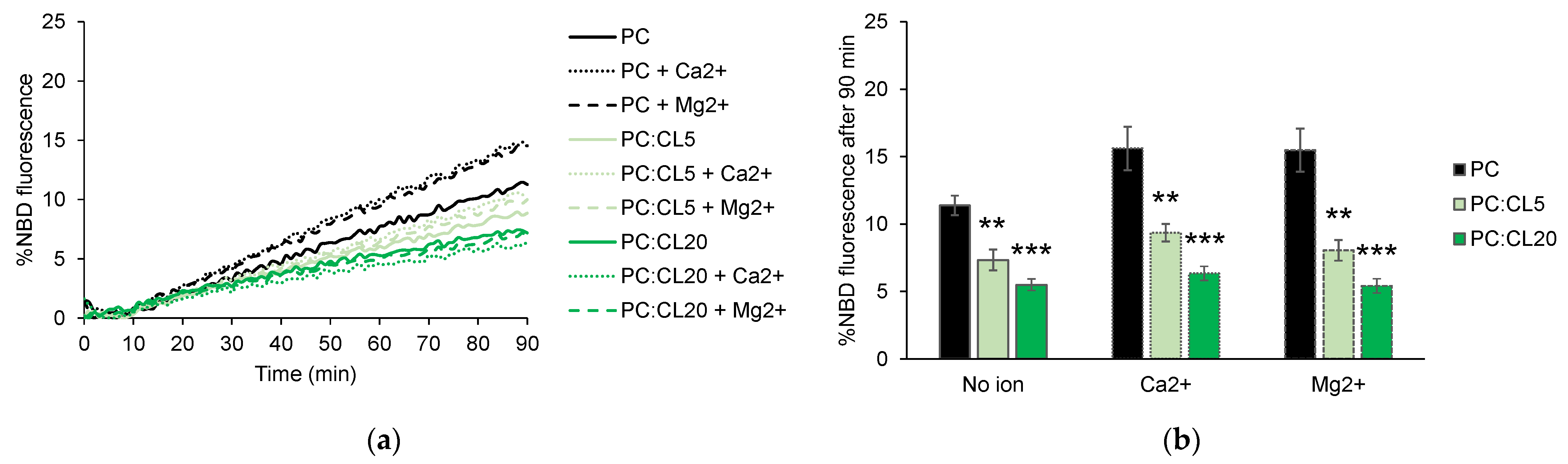Biomolecules 13 01341 g003