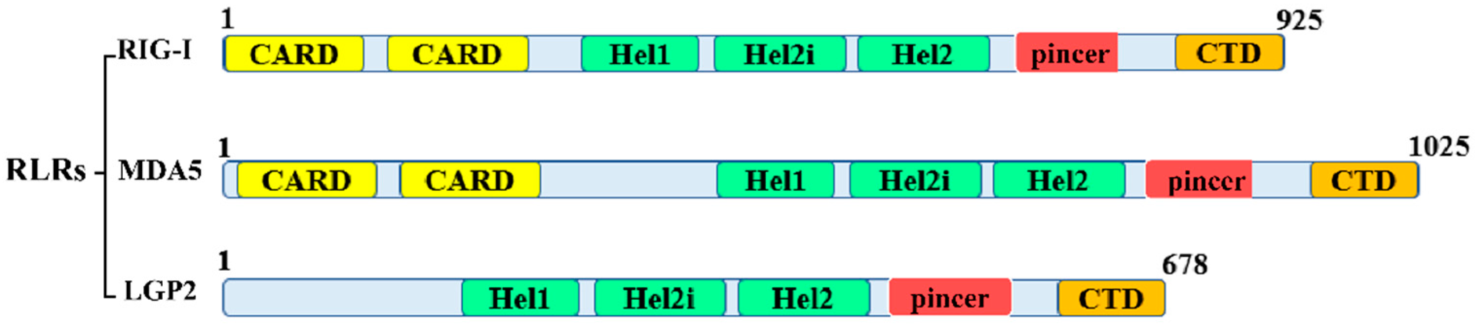 Biomolecules 13 01344 g001 Biomolecules 13 01344 g001