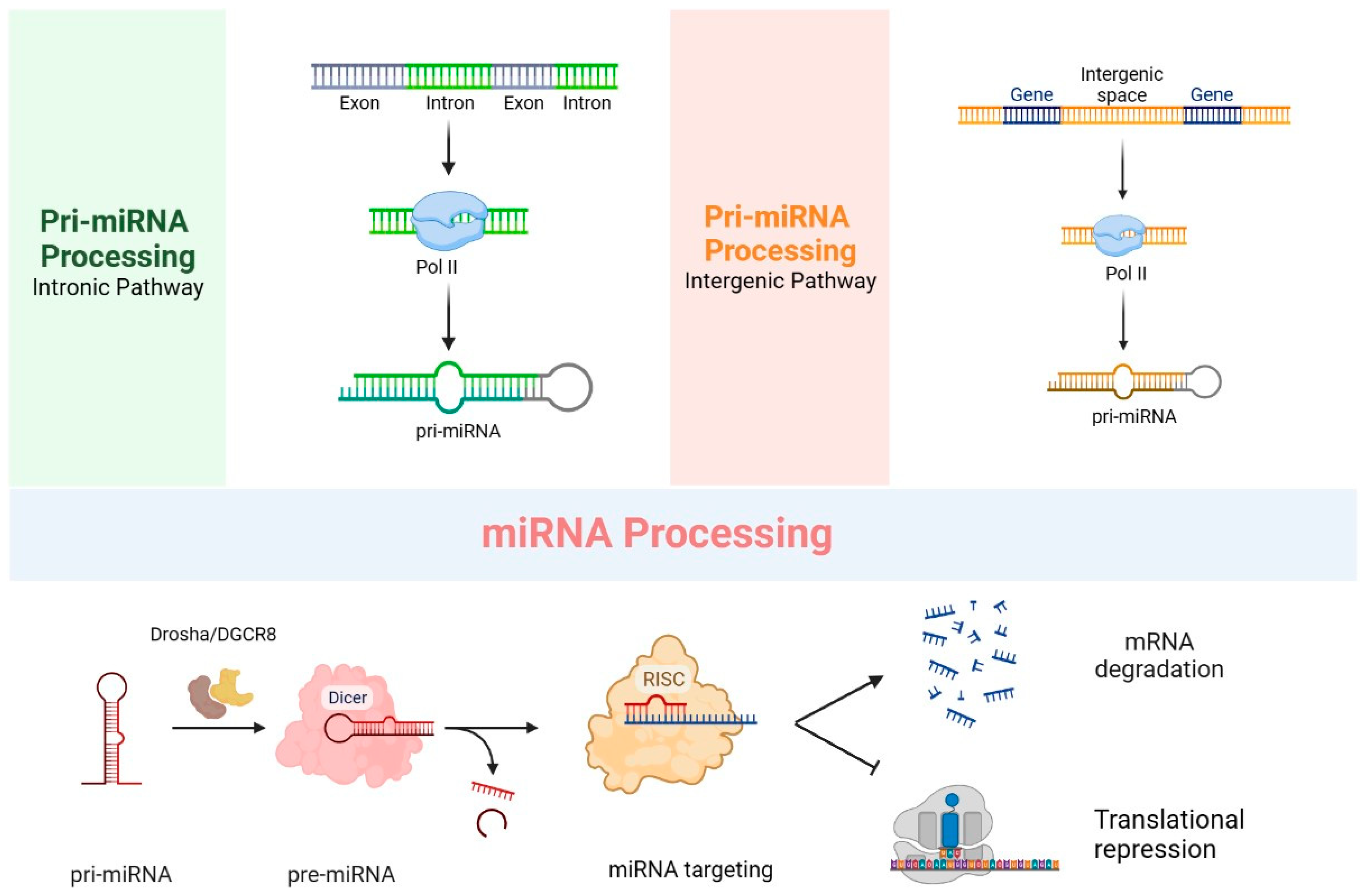 Biomolecules 13 01344 g002 Biomolecules 13 01344 g002